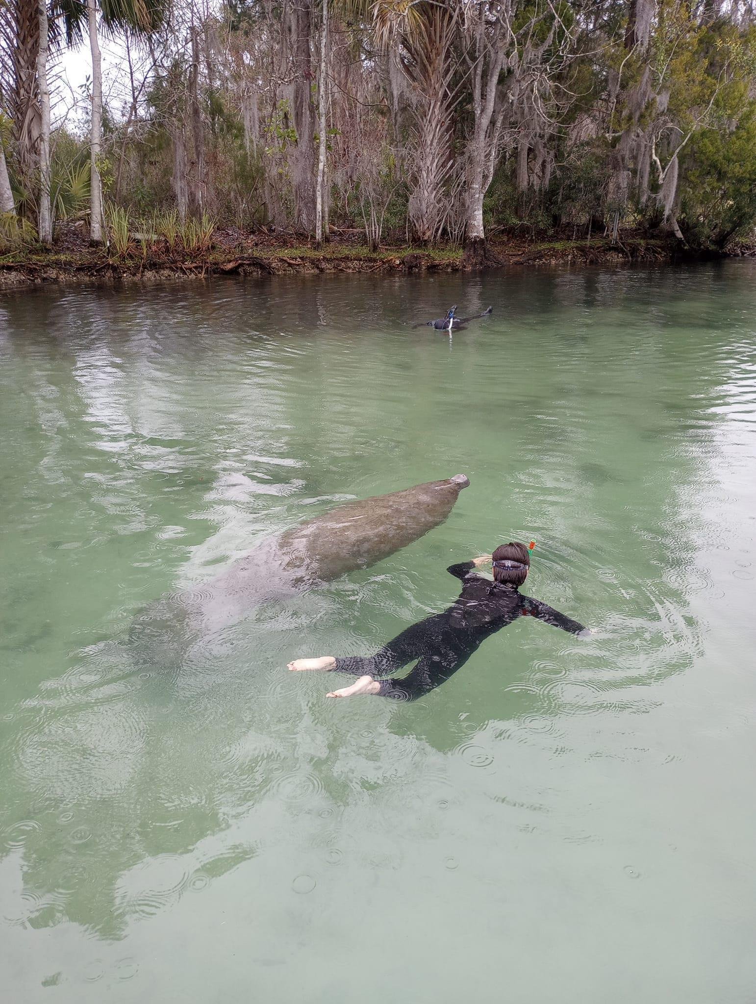 Freediving】【マナティー】 野生マナティーの聖地・Three sisters