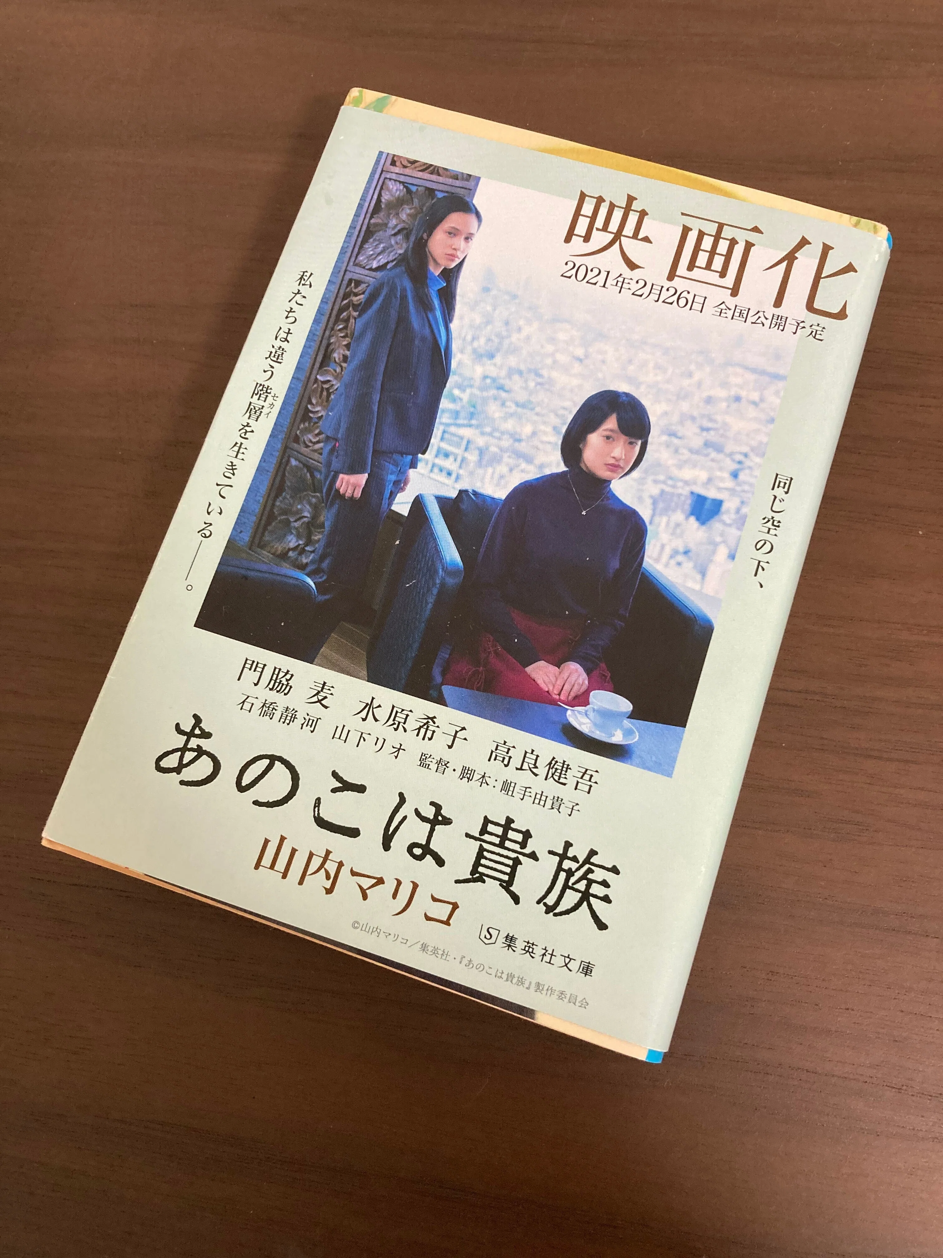 なぜ分断されるのか 山内マリコ『あのこは貴族』｜ハルカ