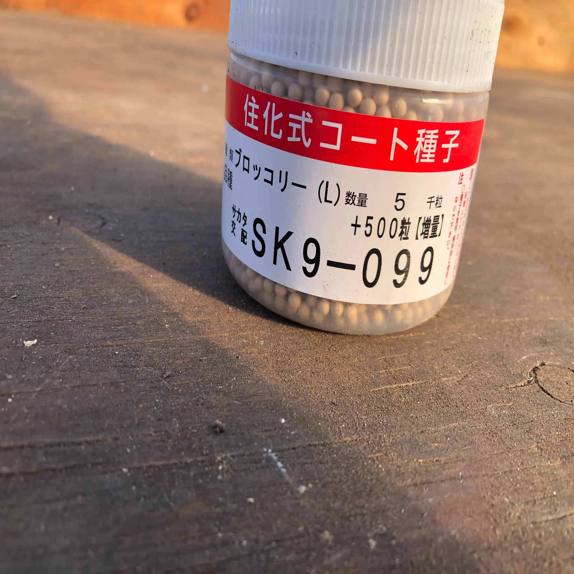 ブロッコリーの種まき開始！今年はSK9−099を使います｜吉田拓実｜さ 