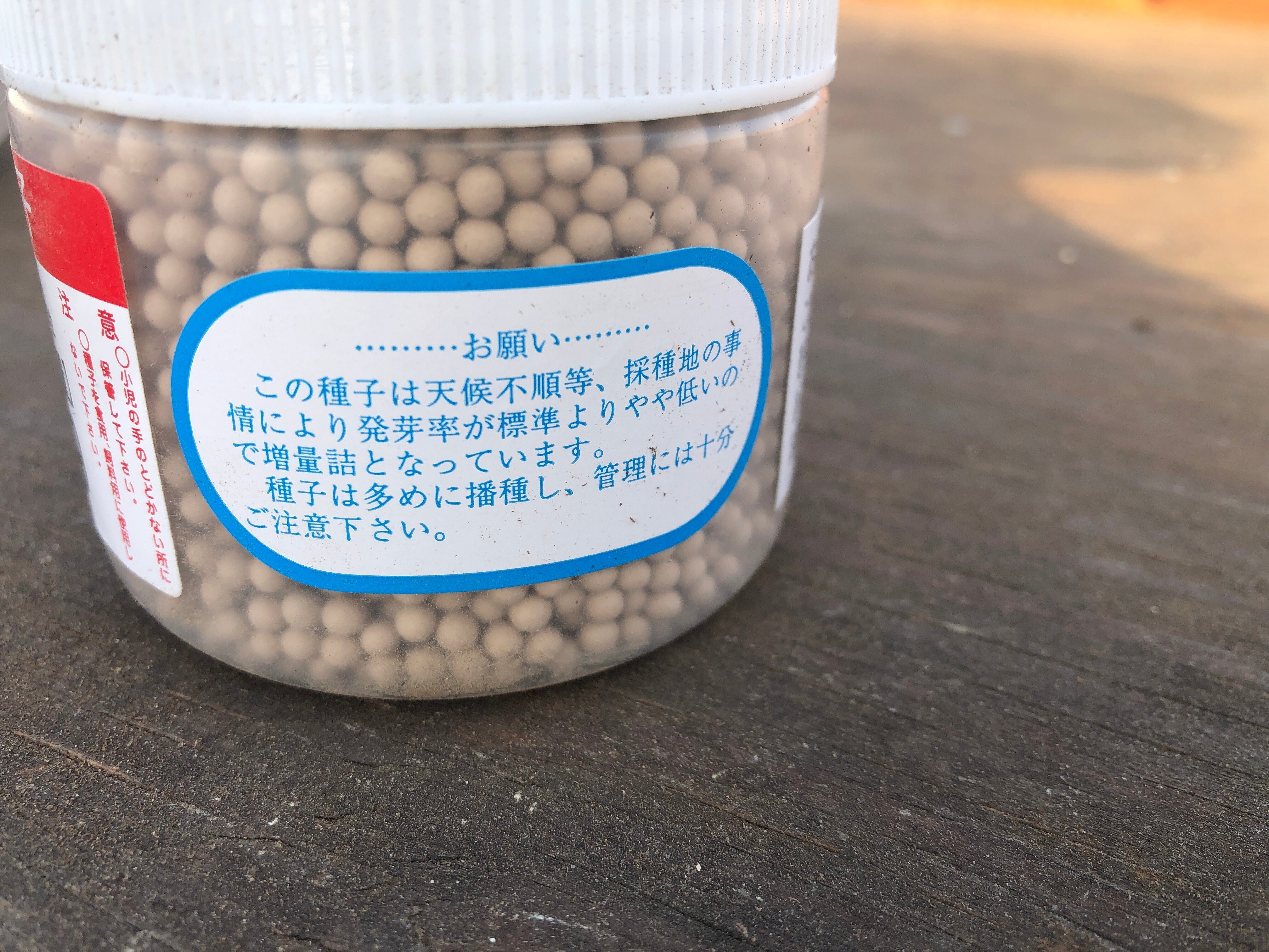 ブロッコリーの種まき開始！今年はSK9−099を使います｜吉田拓実