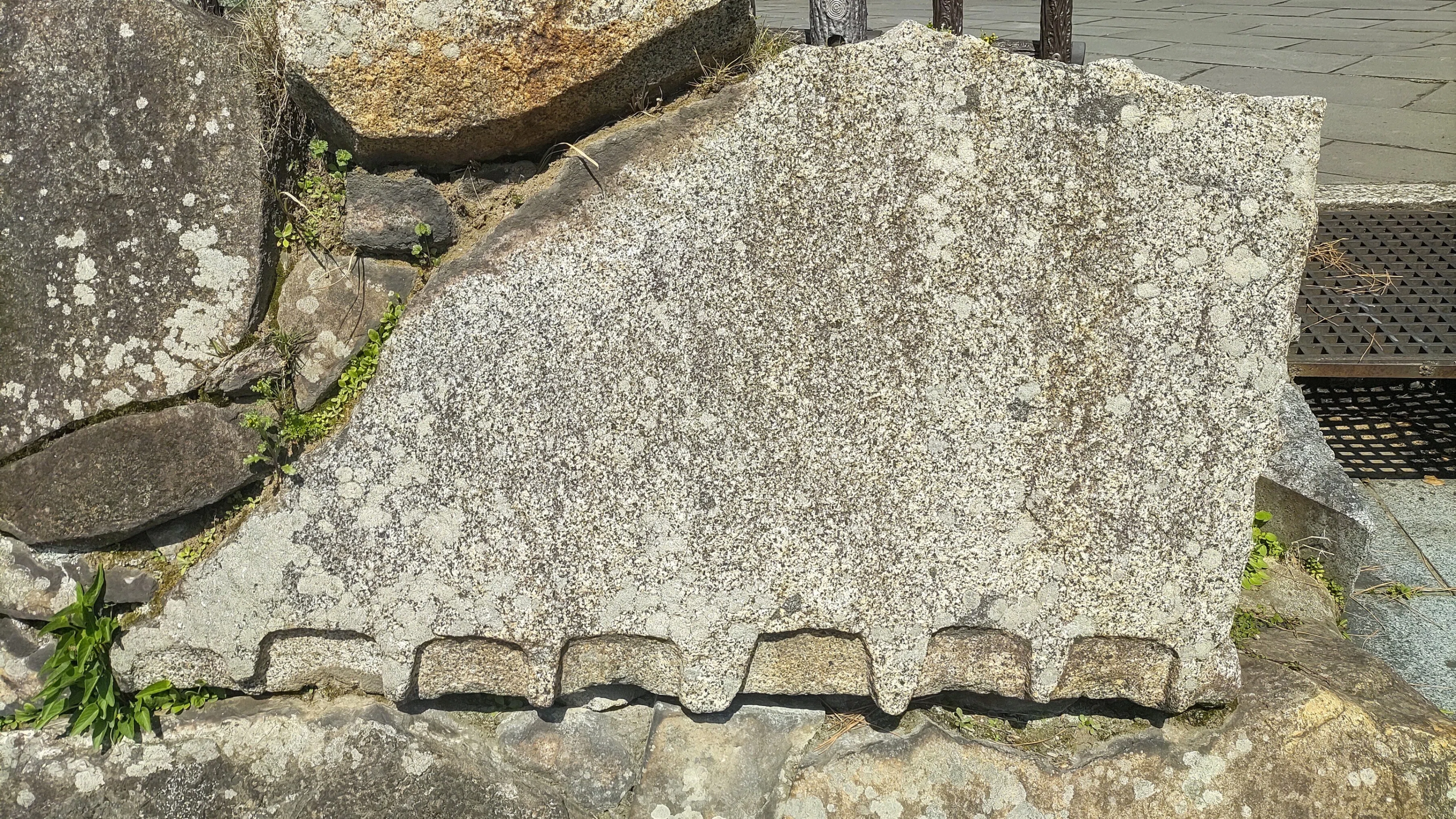 1711189189962-v9doV50gMQ.jpg