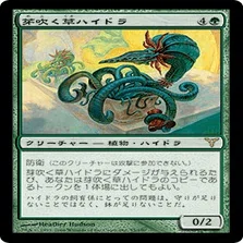 EDH・統率者】《芽吹く草ハイドラ》を養殖しよう【MTG】｜稲尾永静