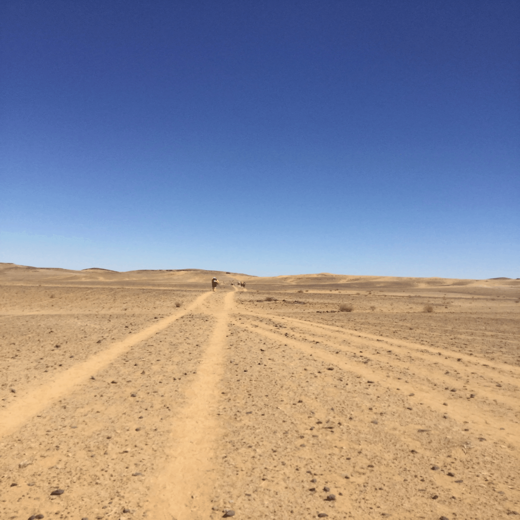 大会レポ】サハラマラソンに挑戦｜にのみやともひろ ウルトラランナー