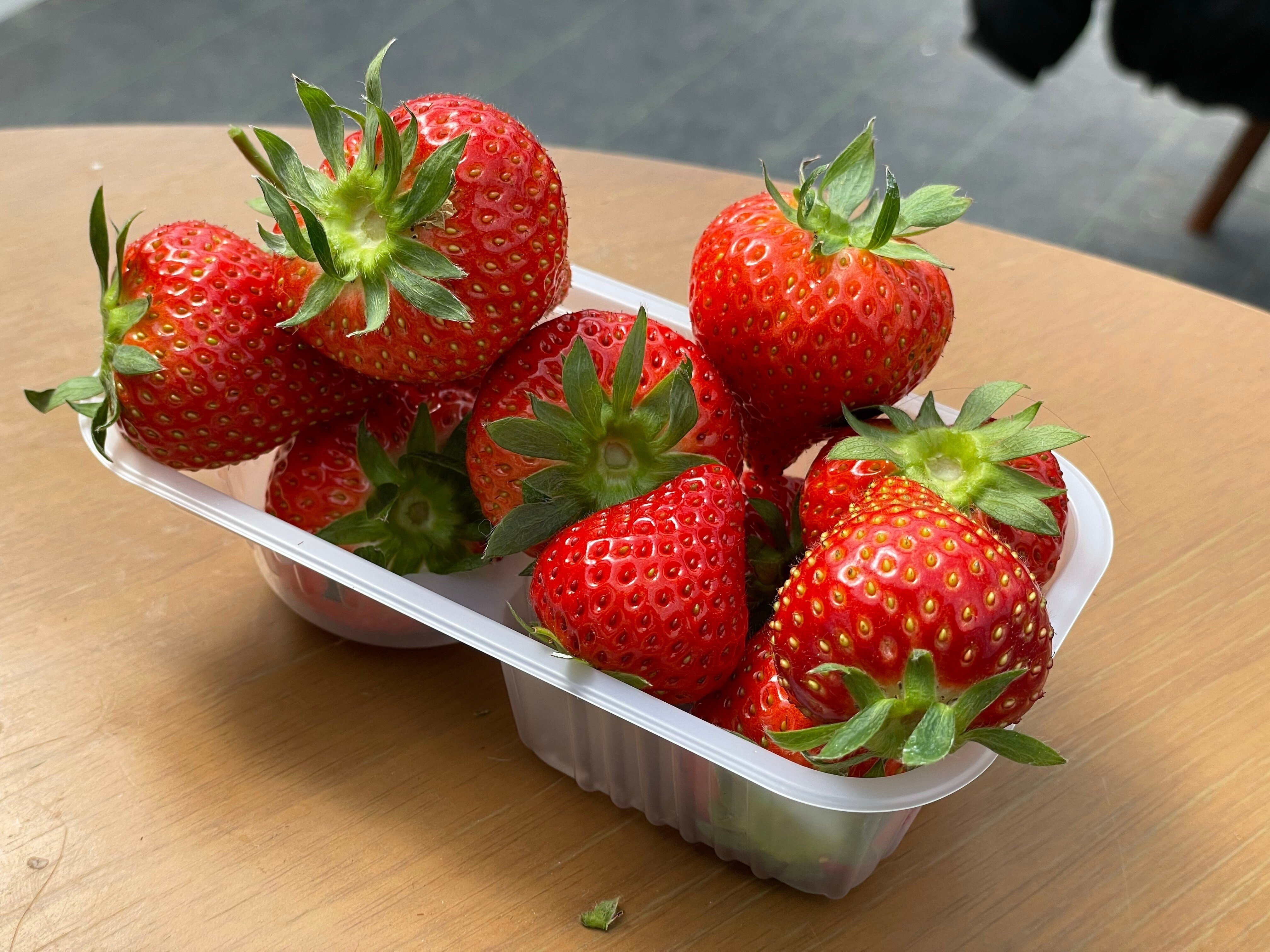 Taihakutopia＊ ▶︎宮城が誇るいちごブランド！ミガキイチゴの