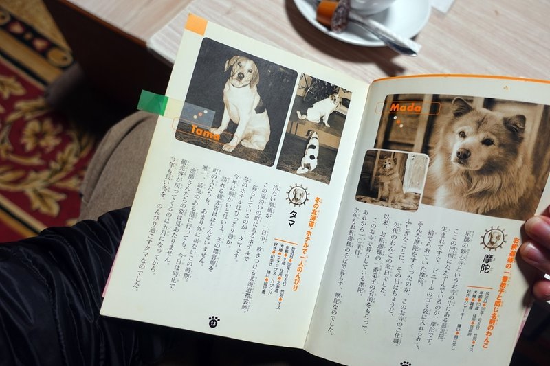 犬の本を開く店主の写真