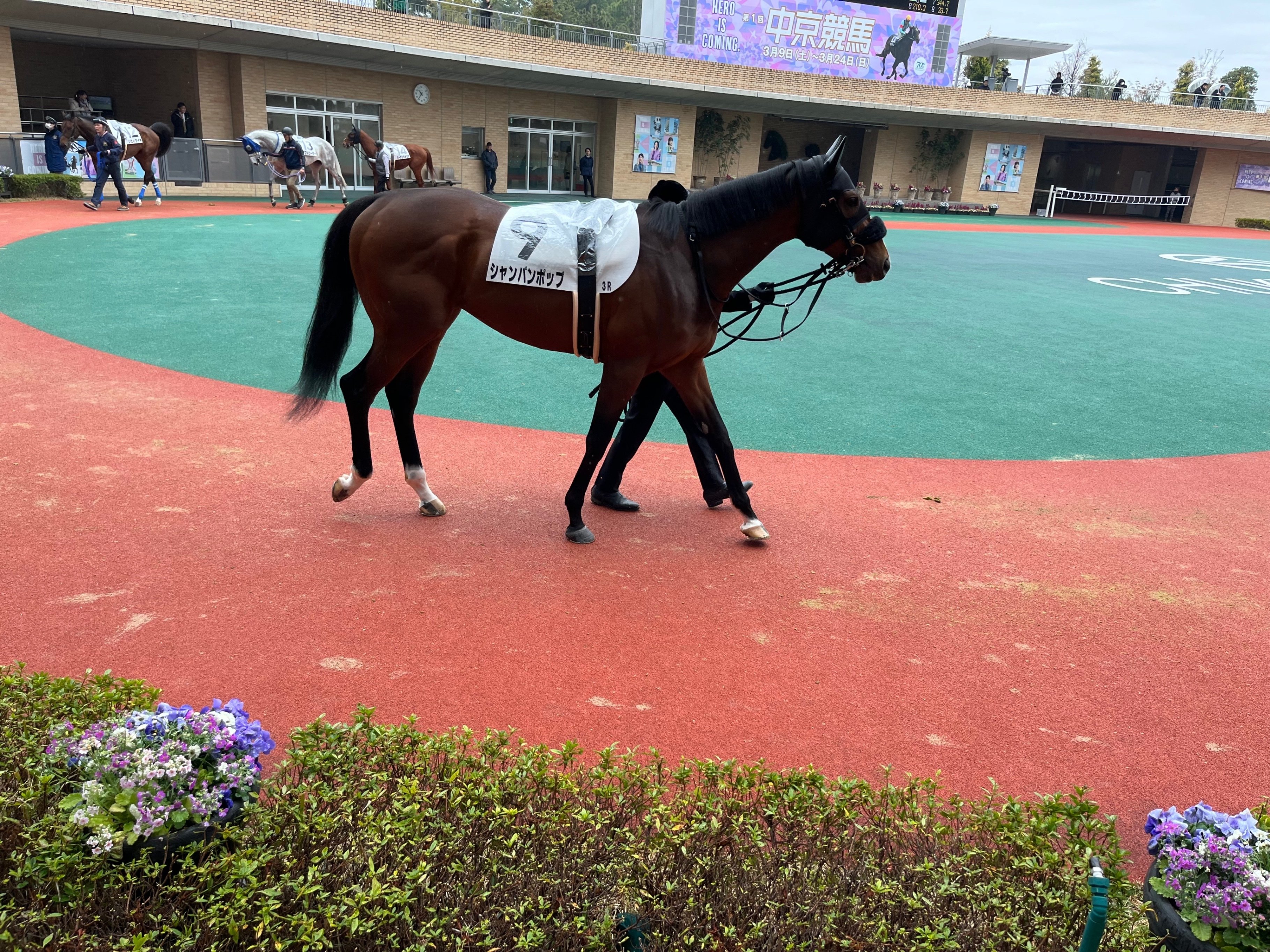 ダート1800Mラスト2F22.7秒の衝撃 シャンパンポップレース回顧