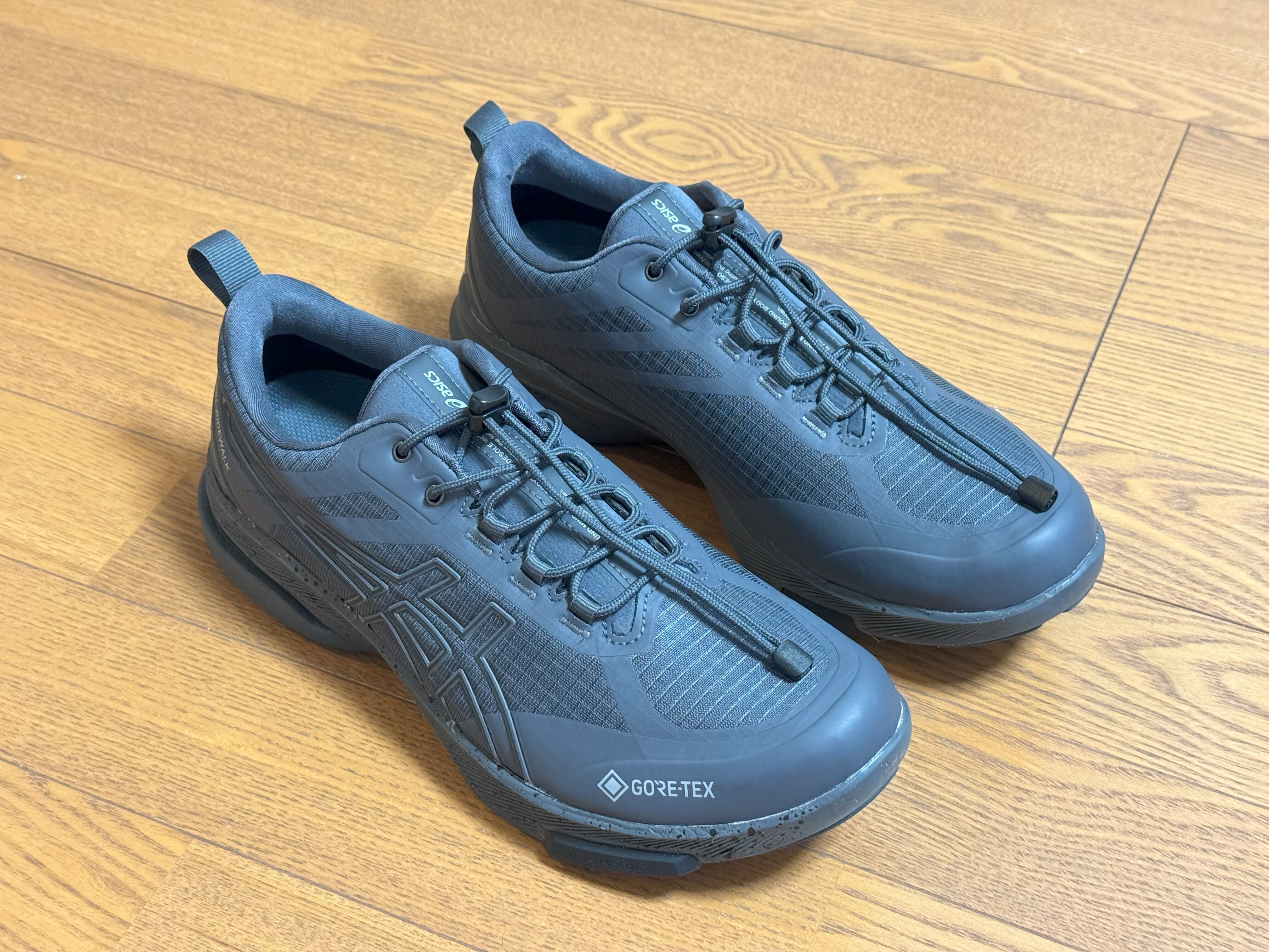ASICS GEL-RIDEWALK GTXで徘徊は捗るのか？｜モカマタリ