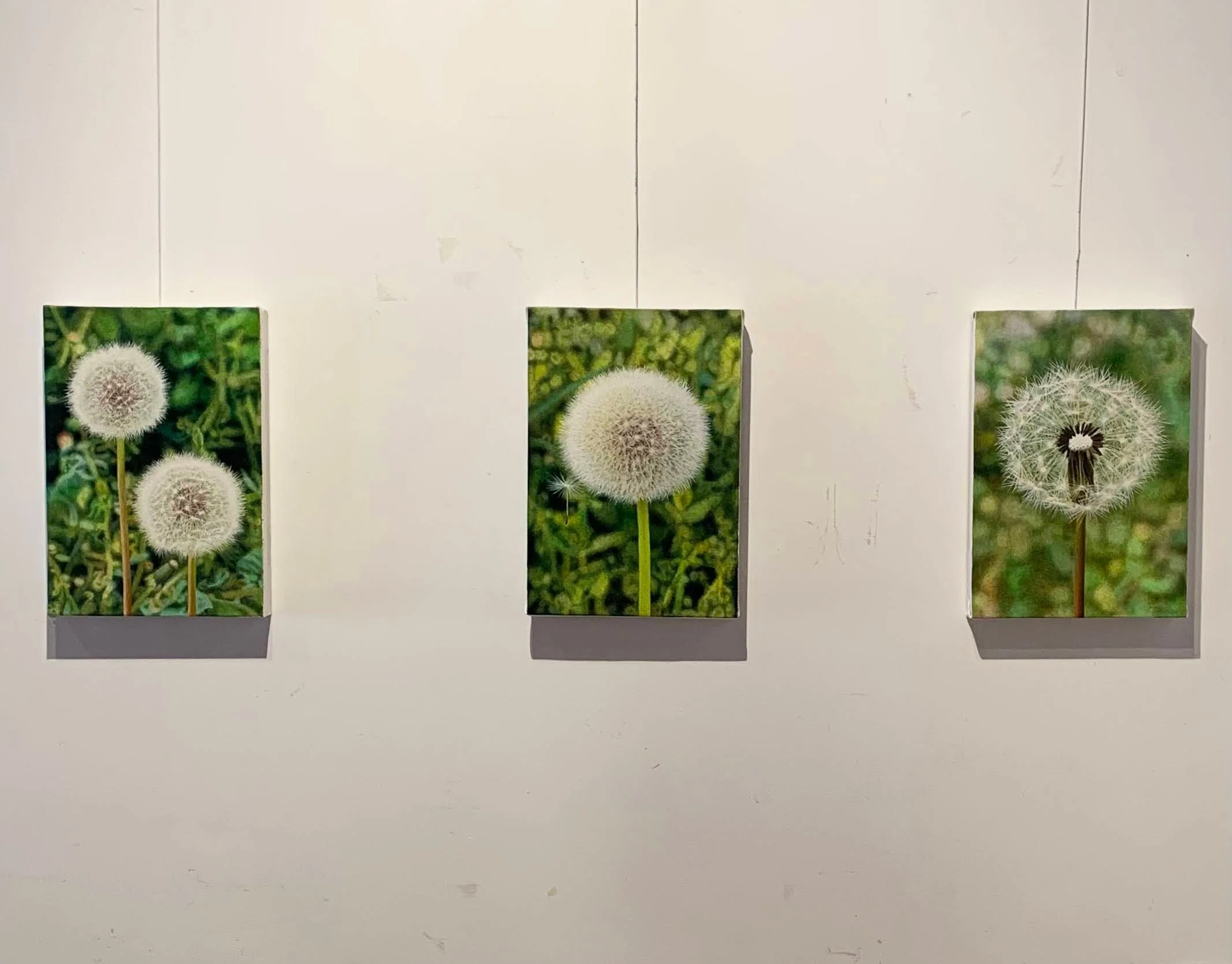 執念で挑む【没後10年 吉村芳生展】｜MIZOE ART GALLERY