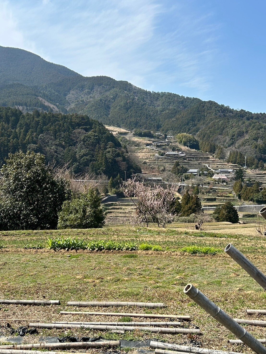 自然いっぱいの中で、皆が優しくなれるマルシェ「どんぐり文庫〜楽しい