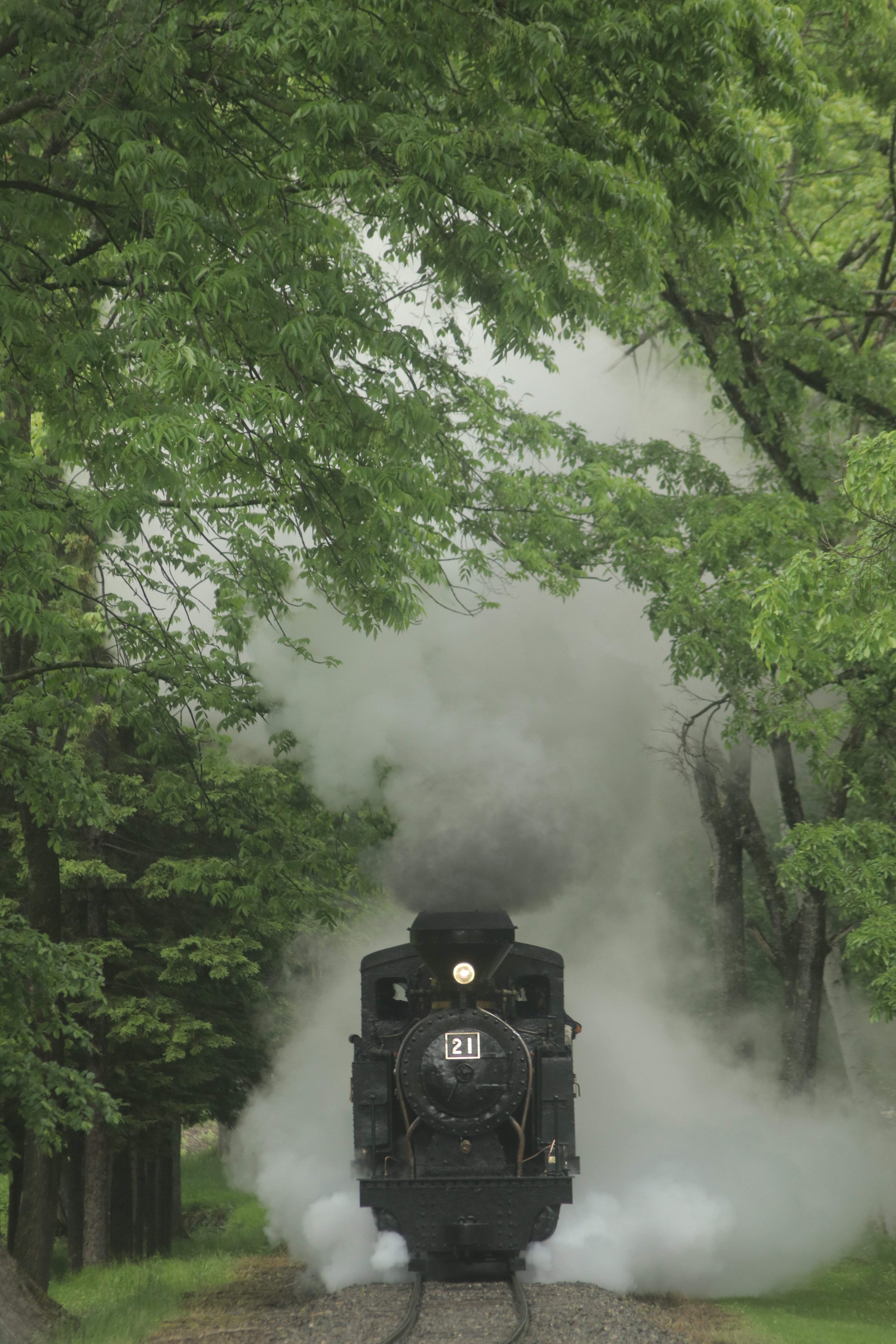 動くミニSL 丸瀬布いこいの森 雨宮21号｜あかしな