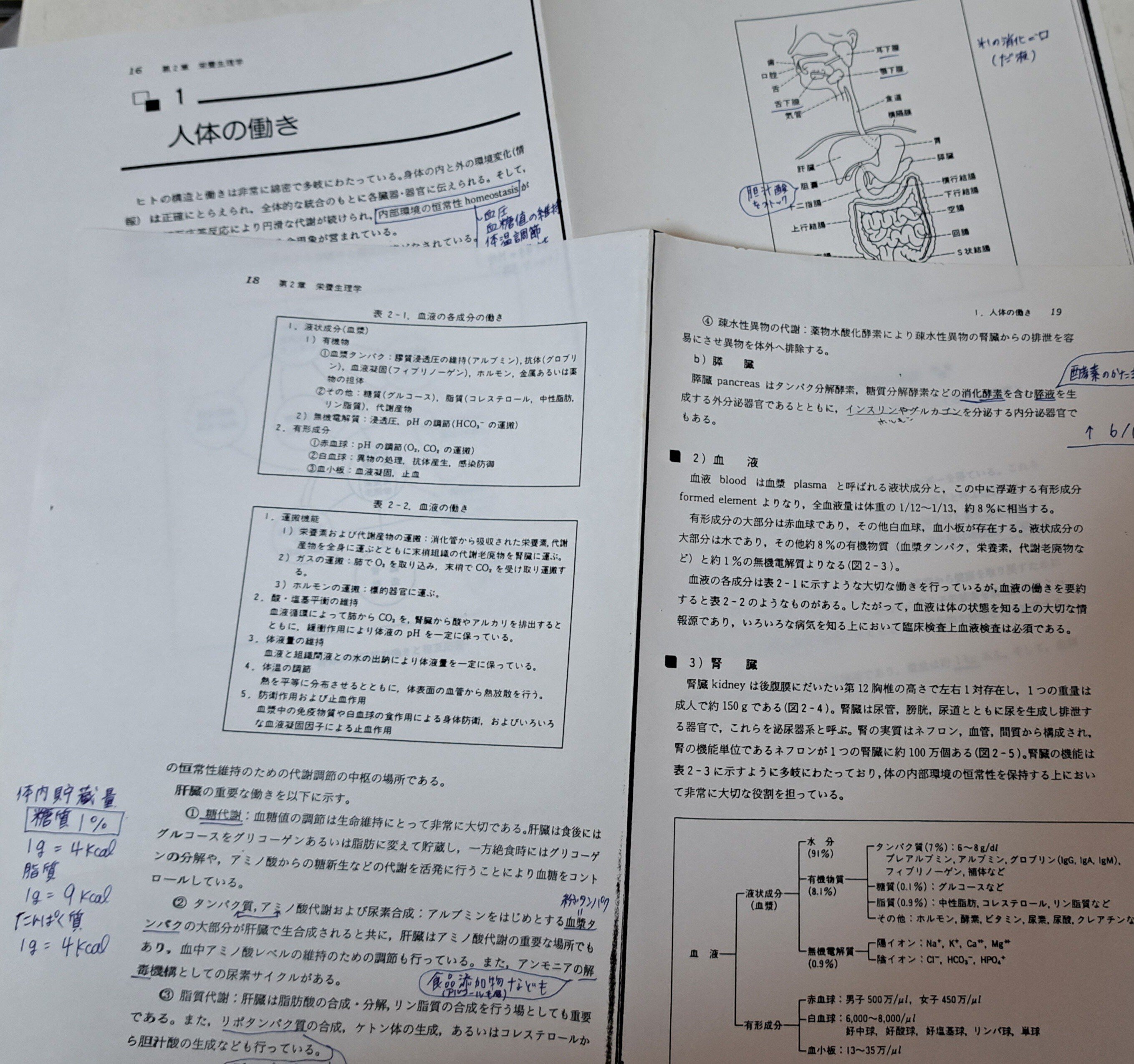 摂食障害を知っていますか？ 陸上競技のケース、ほんとのところ｜CREST