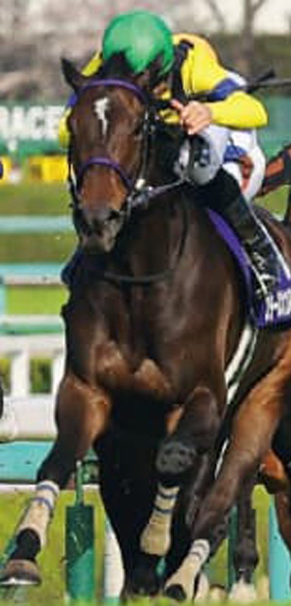 2024大阪杯ポスター｜日本サイン競馬会