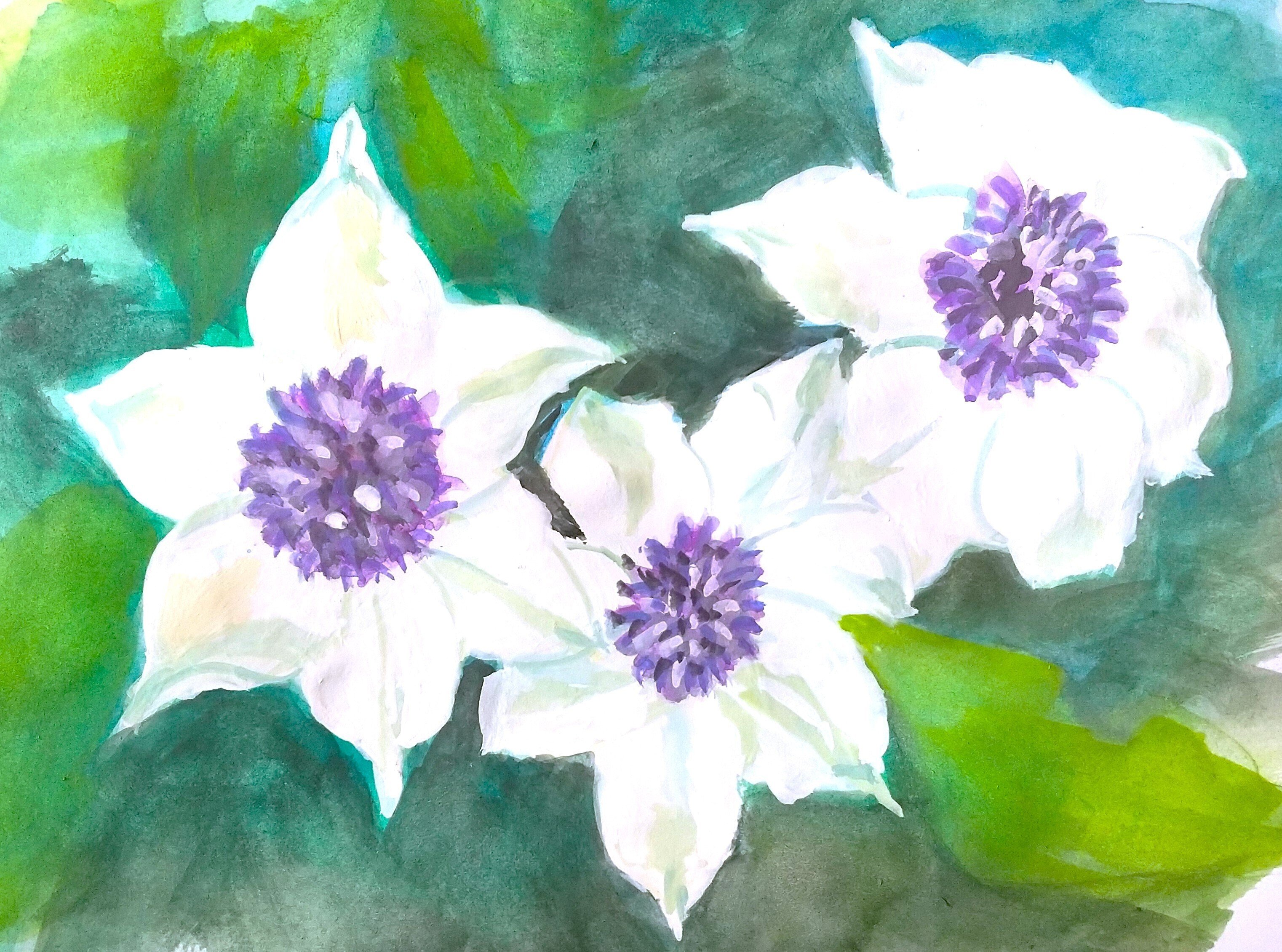 クレマチス｜北海道の熊おやじ〜北海道の179市町村の歴史と観光