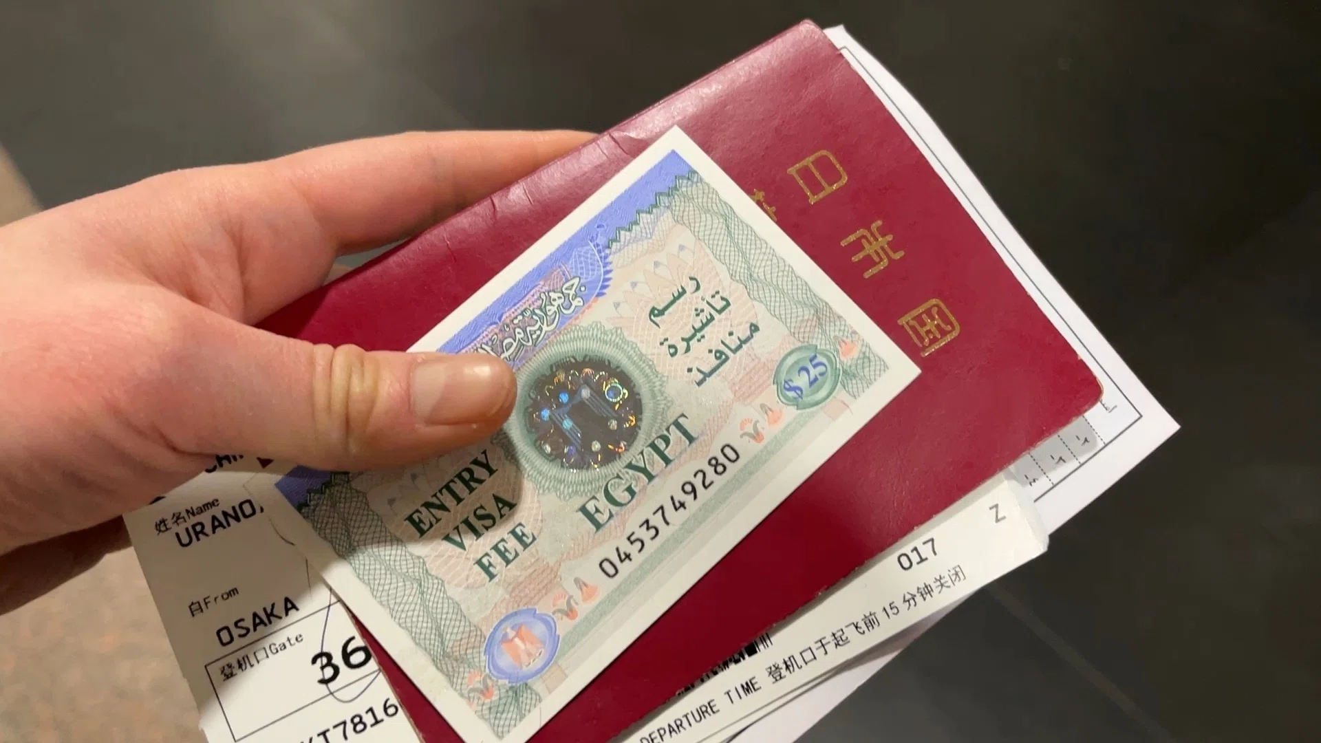 Travel Tips】エジプト旅行前に知っておくこと（2024版）｜Yuri Urano