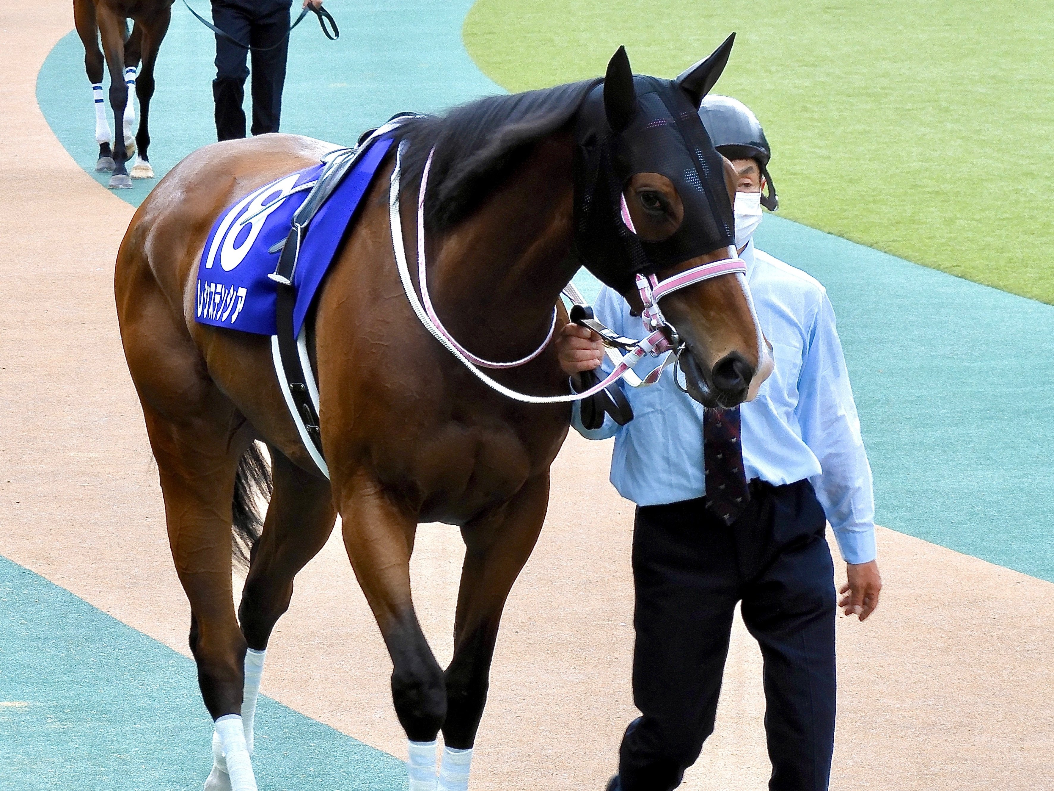 虹、いつまでも鮮やかに｜ころも
