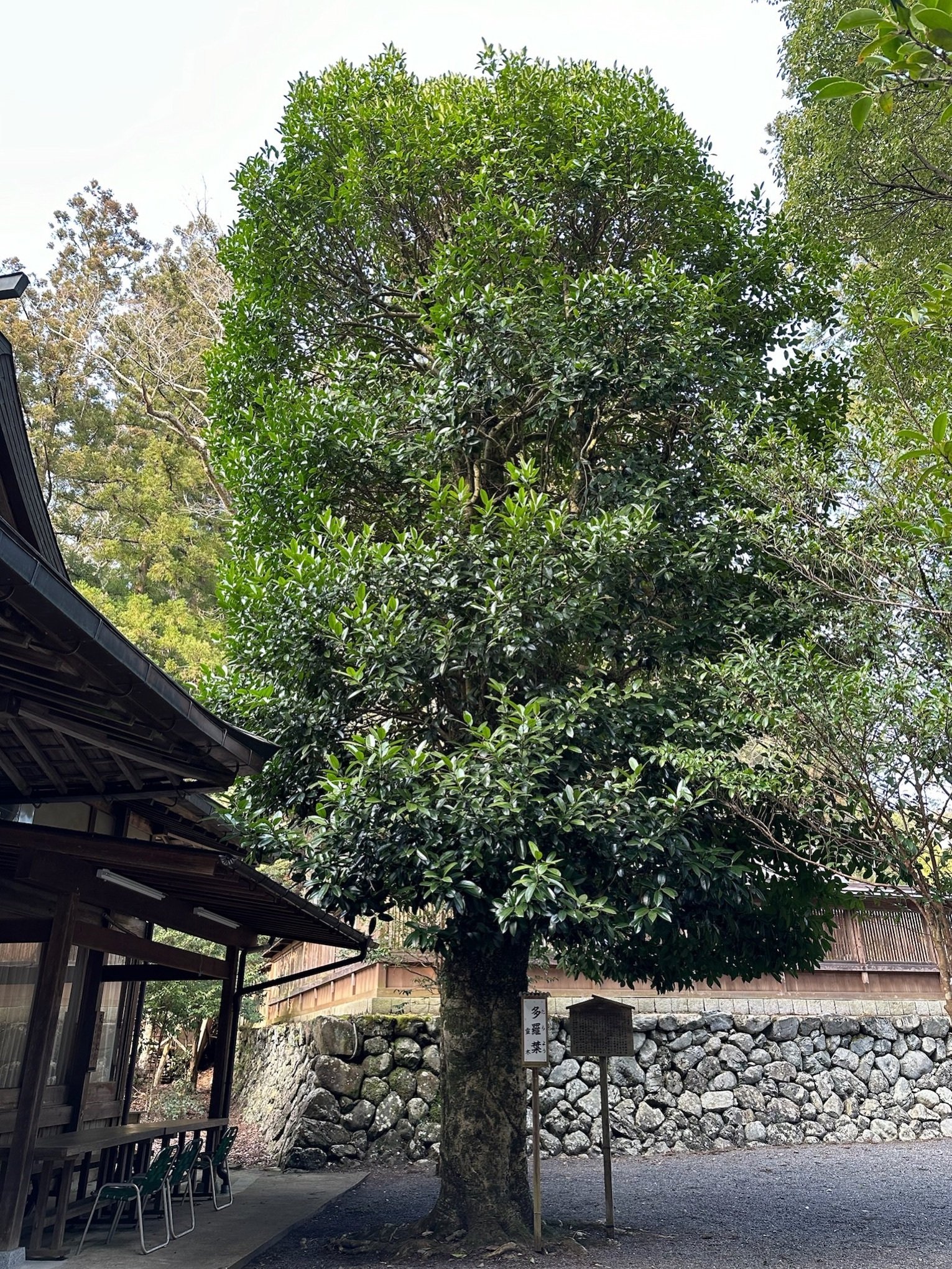 天河大辨財天社​〜丹生川上神社下社巡り｜💐soundsurfer（サウ