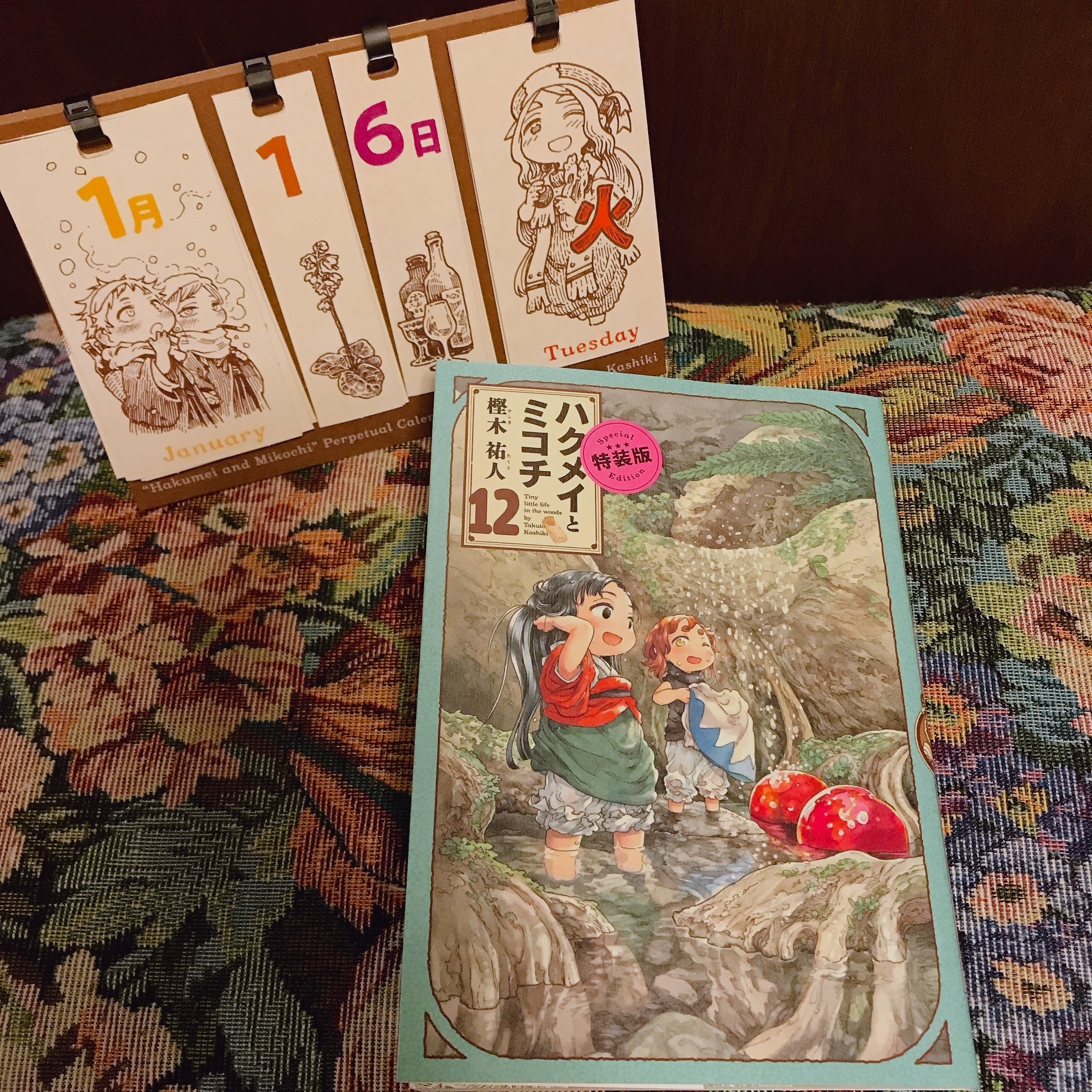 ハクメイとミコチ　キャンバスアート　全巻購入特典 ハクメイとミコチ」感想まとめ2024｜もっつ時々ひばな