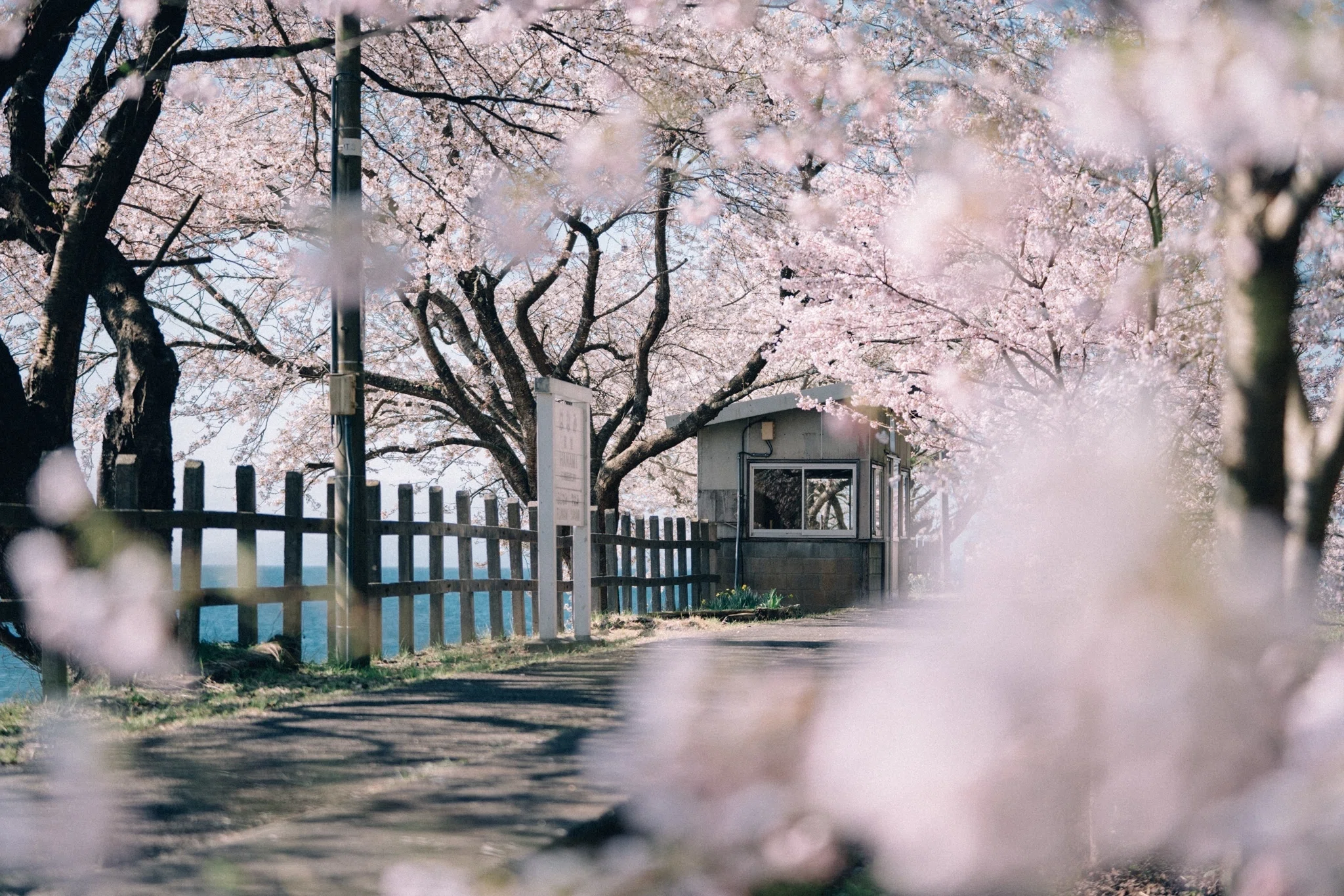 写真で何かを伝えたいすべての人たちへ」を読んだり、ちょっと気になっ