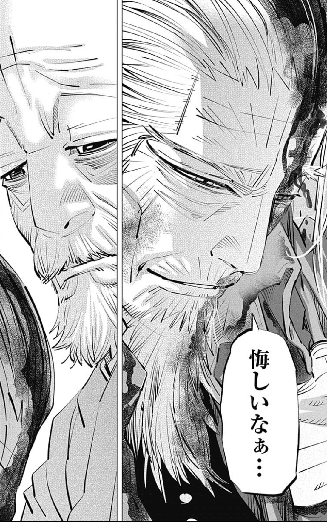 漫画感想】ゴールデンカムイの映画見たので漫画全巻読んだ【16