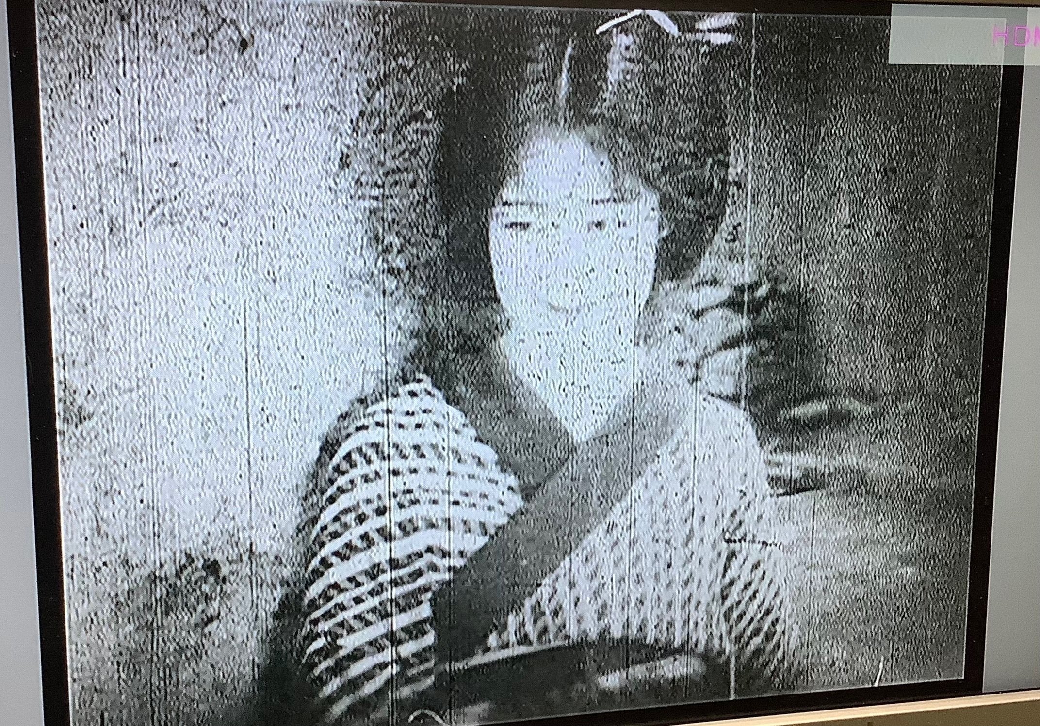 古典邦画】「鞍馬天狗 前後篇／恐怖時代」｜TOMOKI