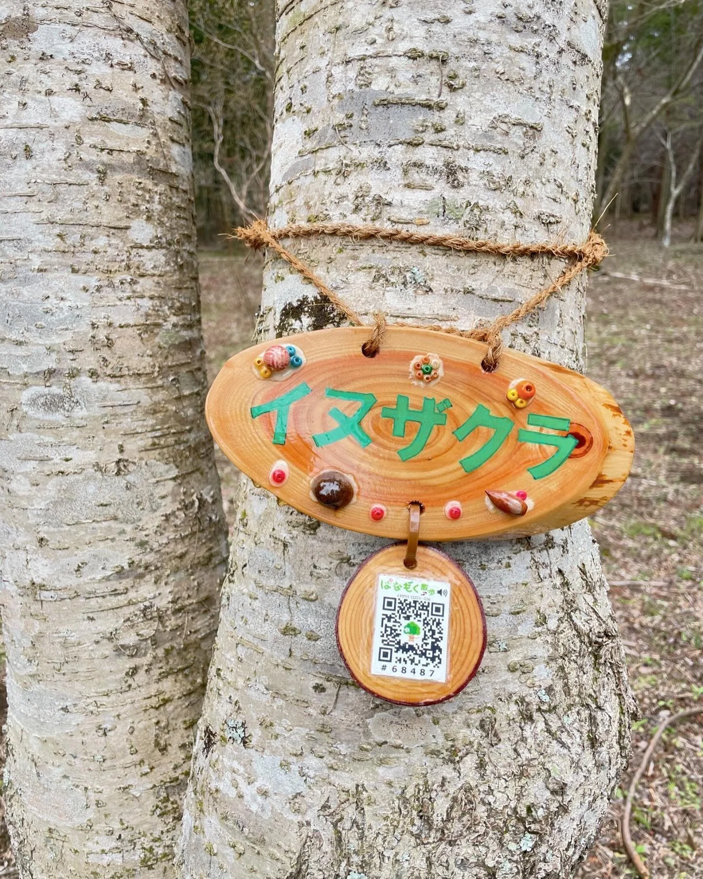 名板 千葉 （新サイズ）