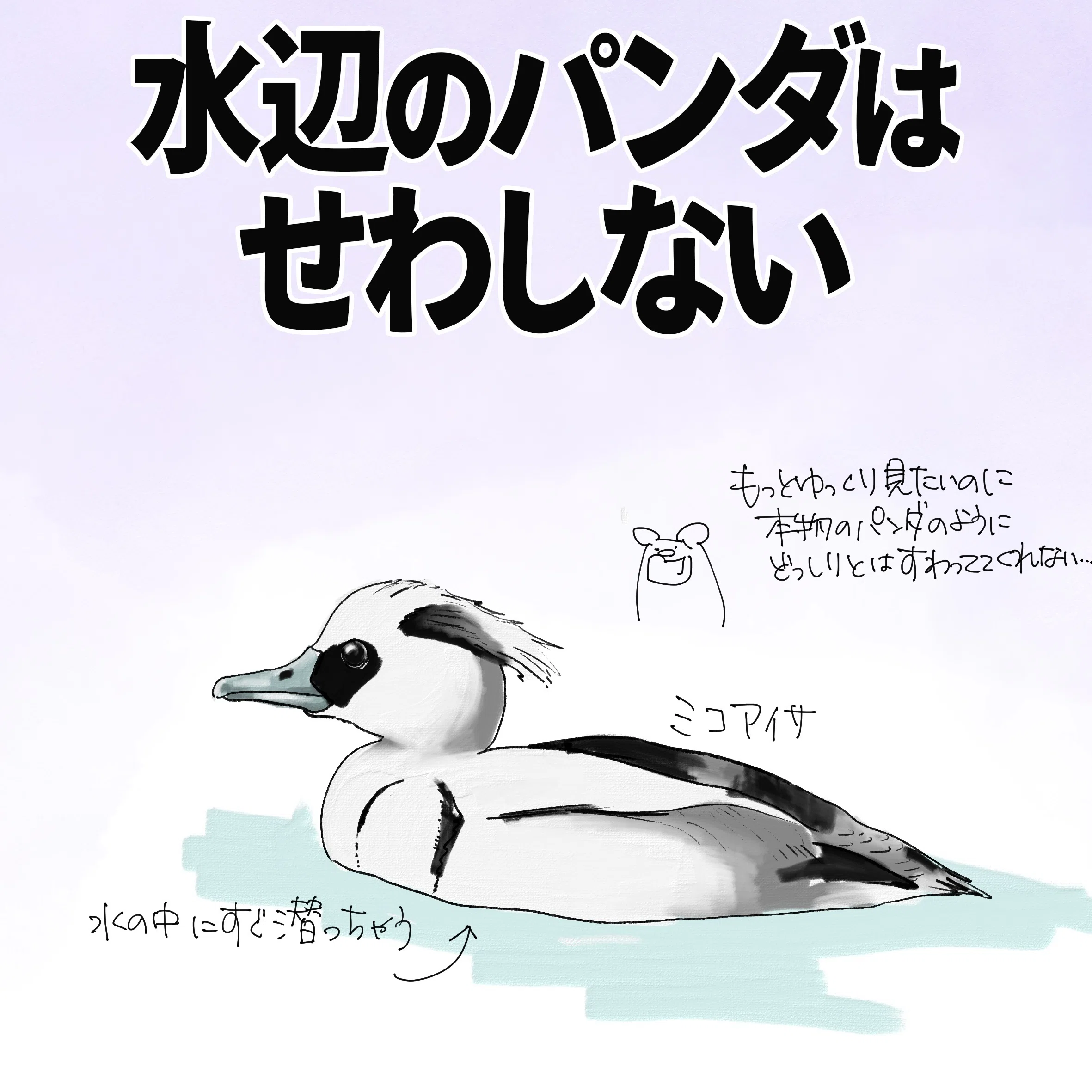 水辺のパンダガモ｜ミコアイサ｜くますけ｜自然ガイド・クリエイター