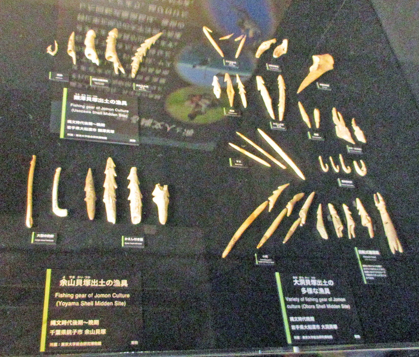 3-3．縄文人の盛んな海洋活動、縄文時代の貝類の装飾品と交易