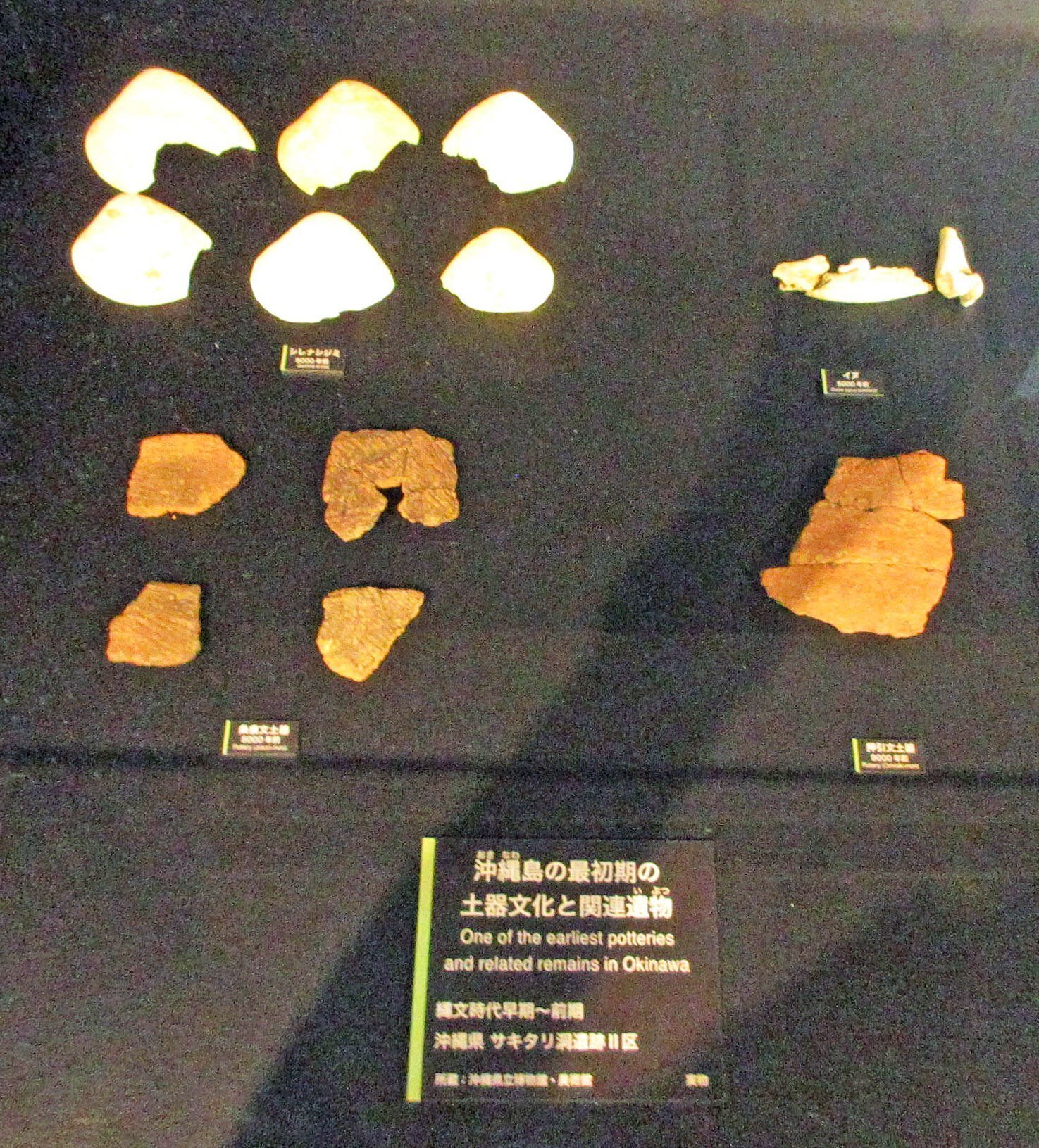3-3．縄文人の盛んな海洋活動、縄文時代の貝類の装飾品と交易
