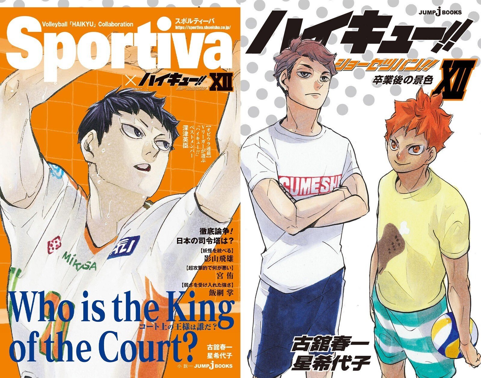 ハイキュー!! ショーセツバン!!』シリーズ1~13巻を一挙紹介 ハイキュー!! ショーセツバン!!』シリーズ1~13巻を一挙紹介