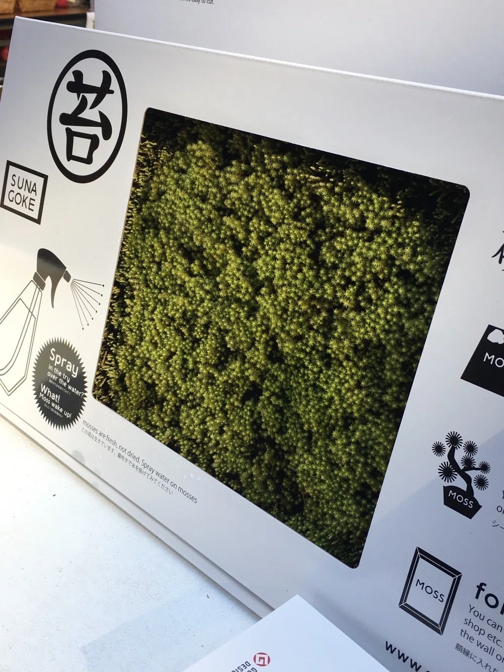 苔は、地球を救う!?｜植物生活