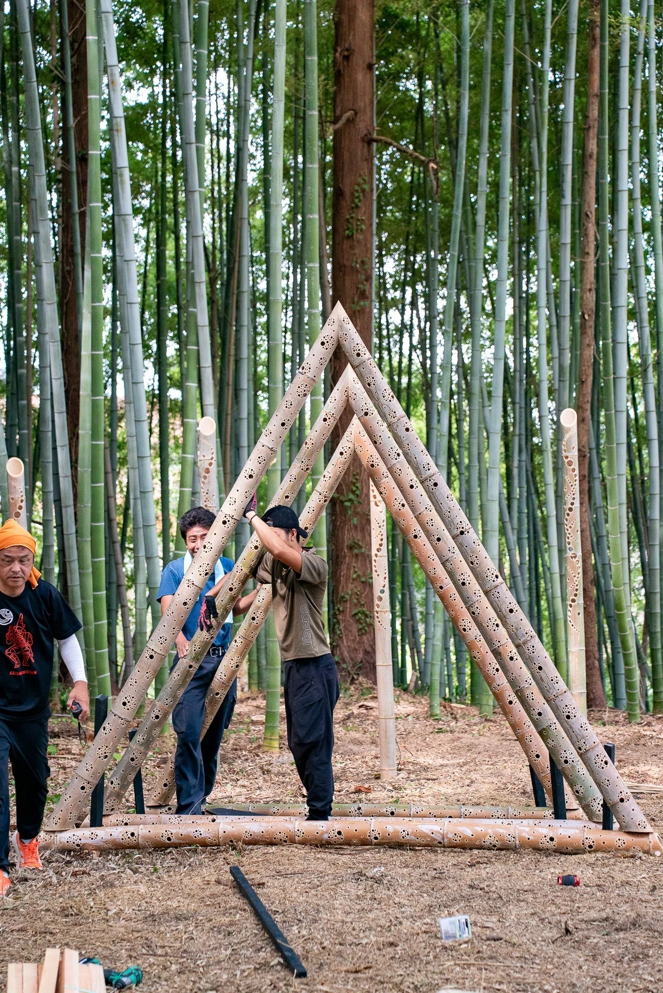 竹でみんなを驚かす！】放置竹林が毎年2万人を呼ぶ『まちの宝』に