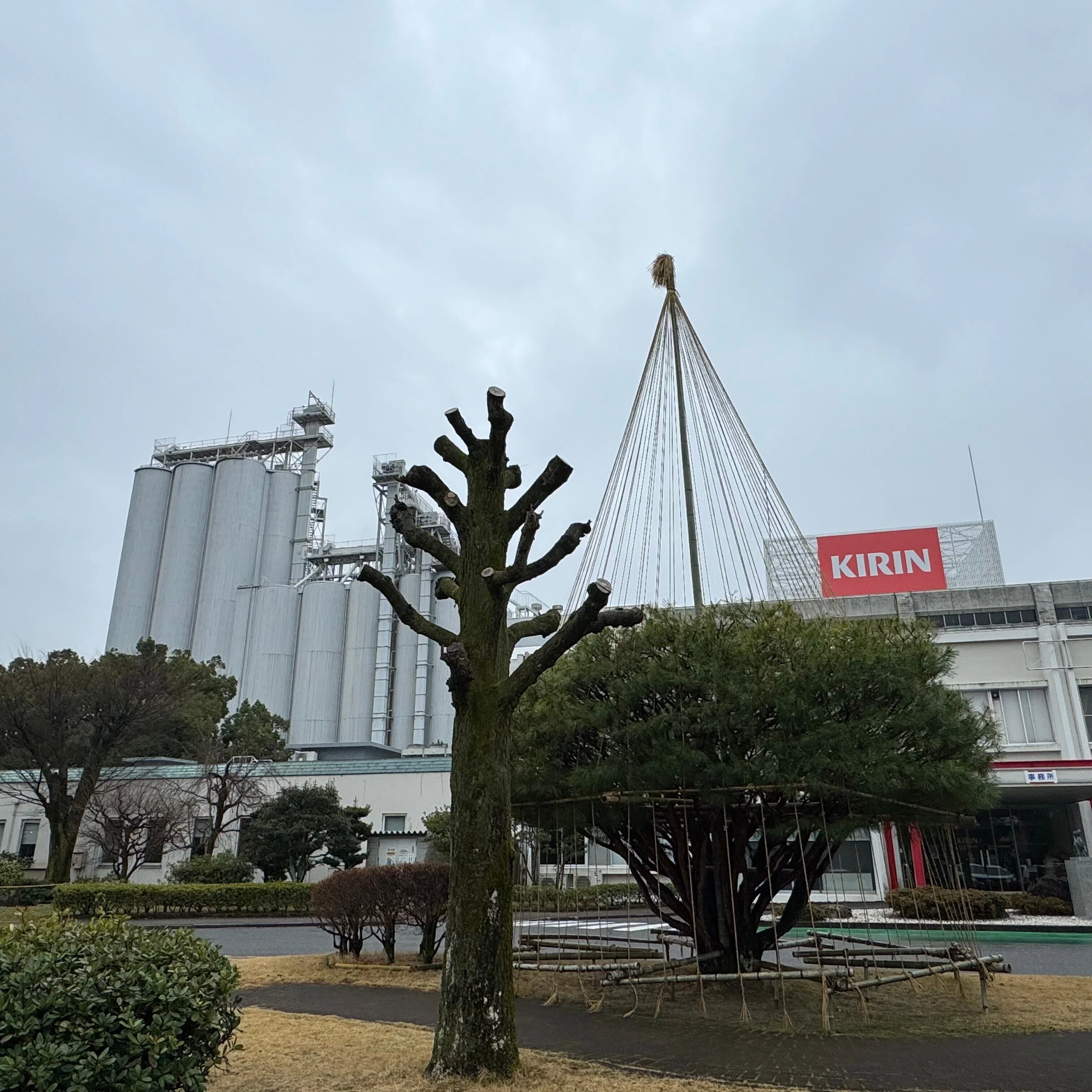 滋賀であじわう、春一番の一杯！」～キリンビール滋賀工場見学&試飲