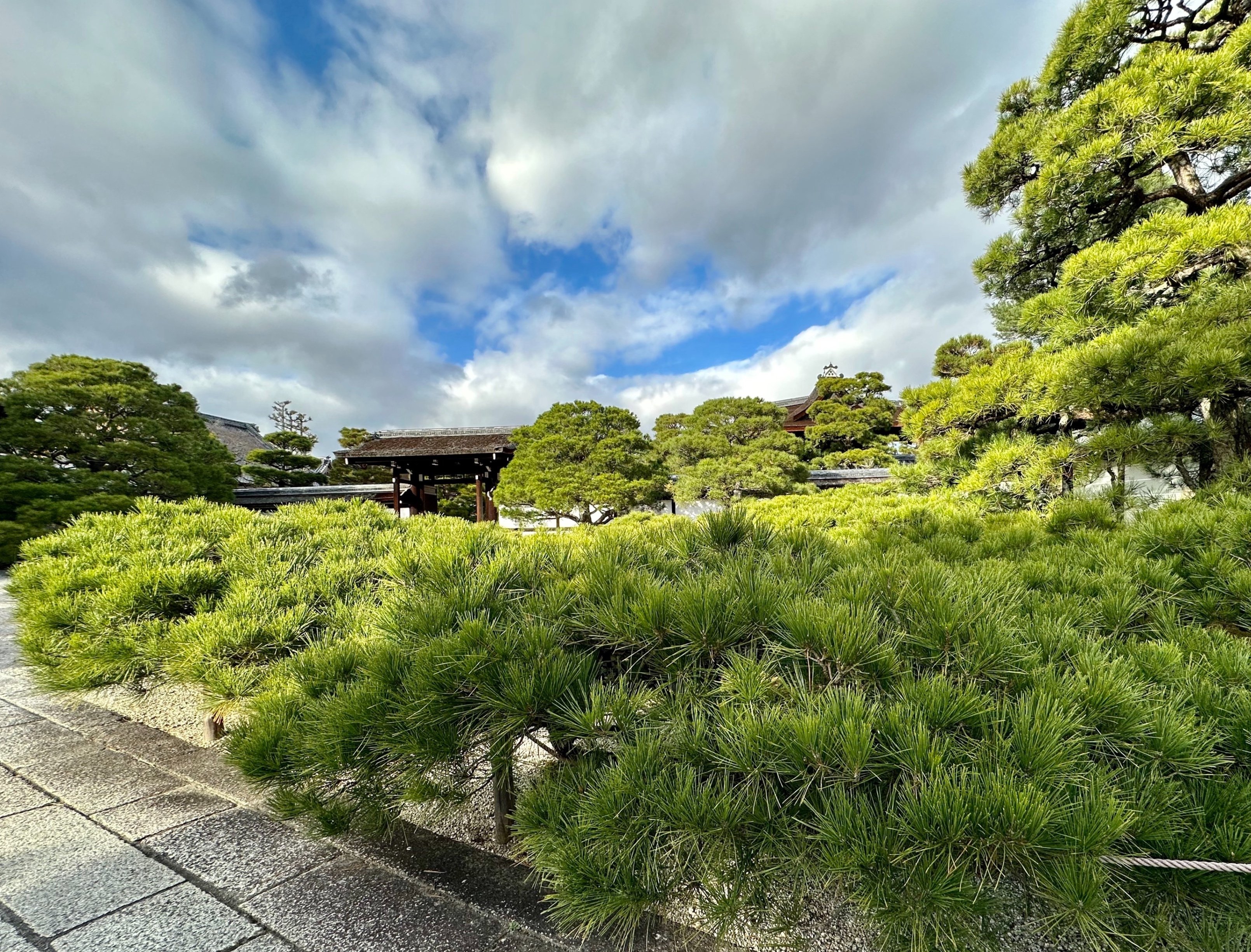 門跡寺院に広がる様々な風景へ｜sanchi