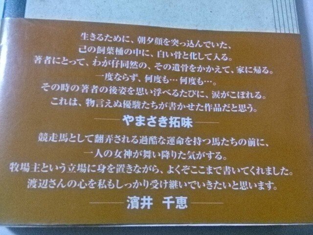 馬の瞳を見つめて 初版・帯付き (おまけ付き) 馬の瞳を見つめて | 渡辺 はるみ |本 | 通販 | Amazon