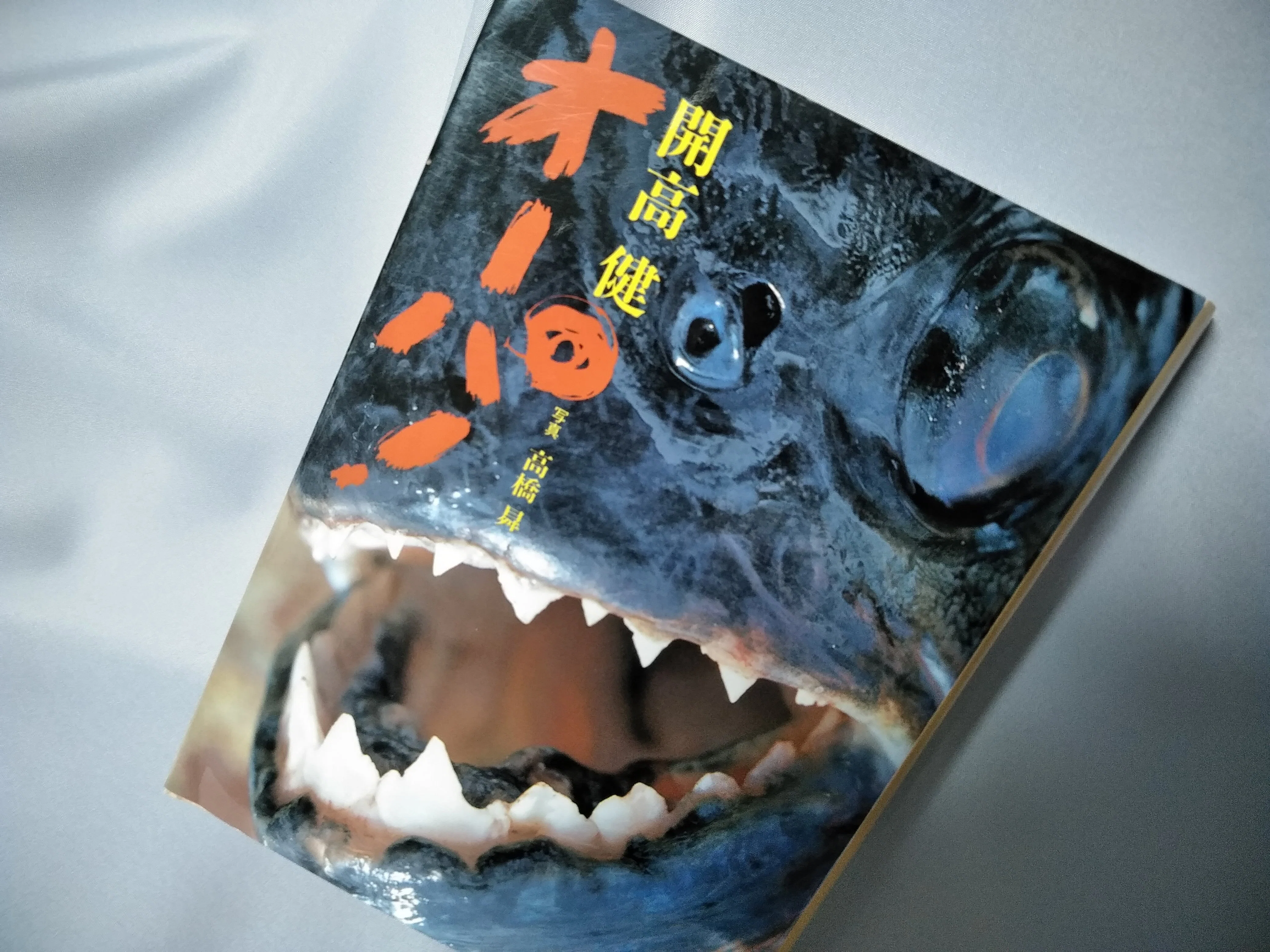 ふくろう通信03】醍醐麻沙夫と「オーパ！」｜池内書房