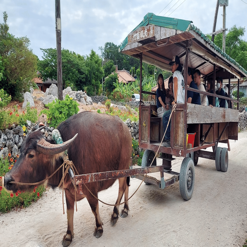 無音こそ魅力】そんな竹富島に興奮した日 ☆35日目 270324｜tomohiro