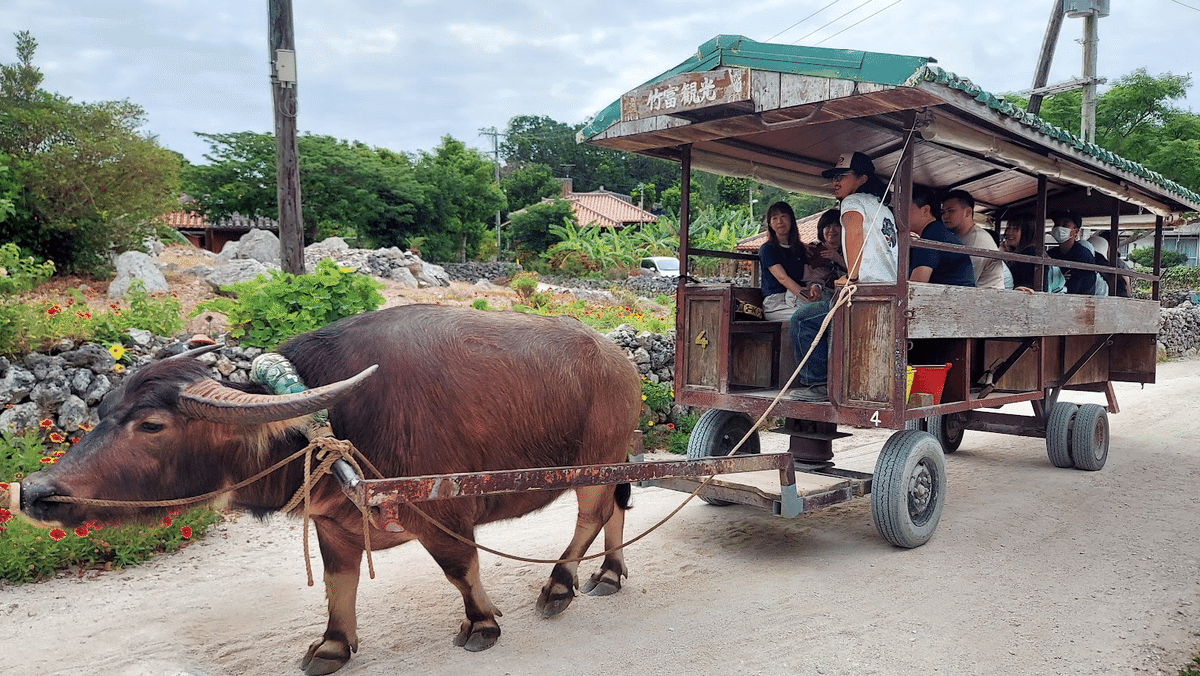 無音こそ魅力】そんな竹富島に興奮した日 ☆35日目 270324｜tomohiro