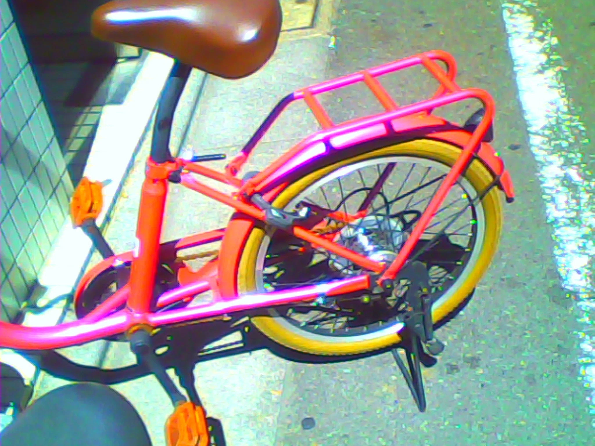 蔵出しトイデジ写真 デジタルハリネズミ編①｜みねのもみぢば