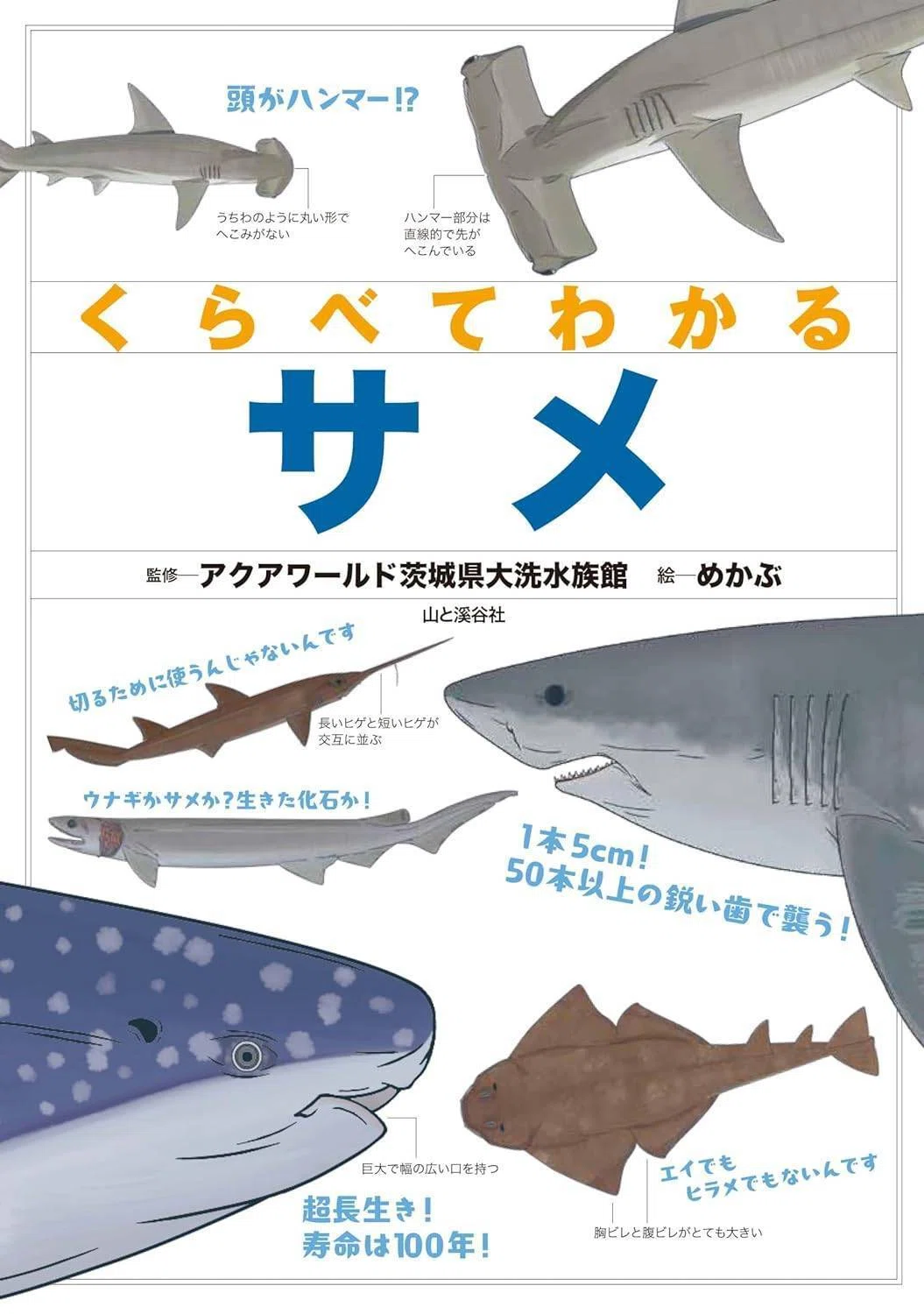 今孤独でも光をあきらめないサメ/原画イラスト サメを知るために、サメを描く——【サメ愛好家イラストレーターめかぶ