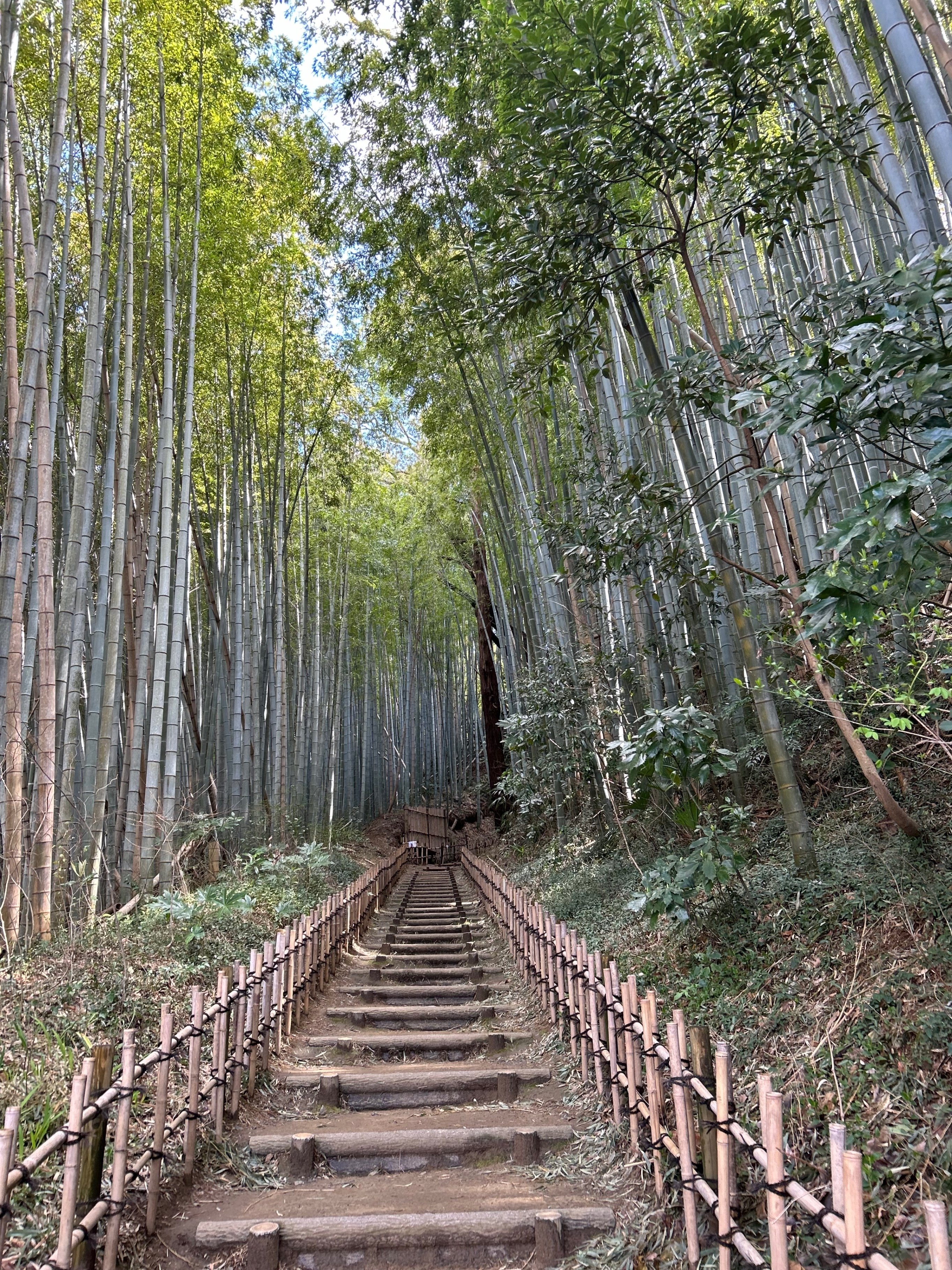 佐竹一族の中世 | 高橋 修 |本 | 通販 | Amazon