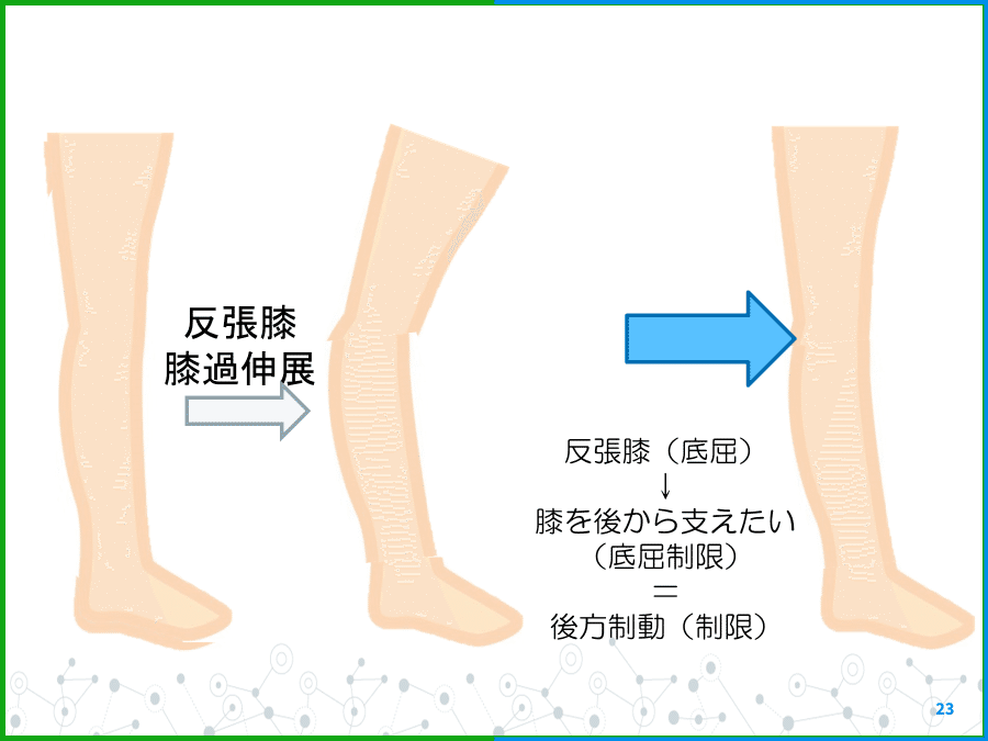 装具学 脳卒中に用いられる下肢装具｜じょんがらPT