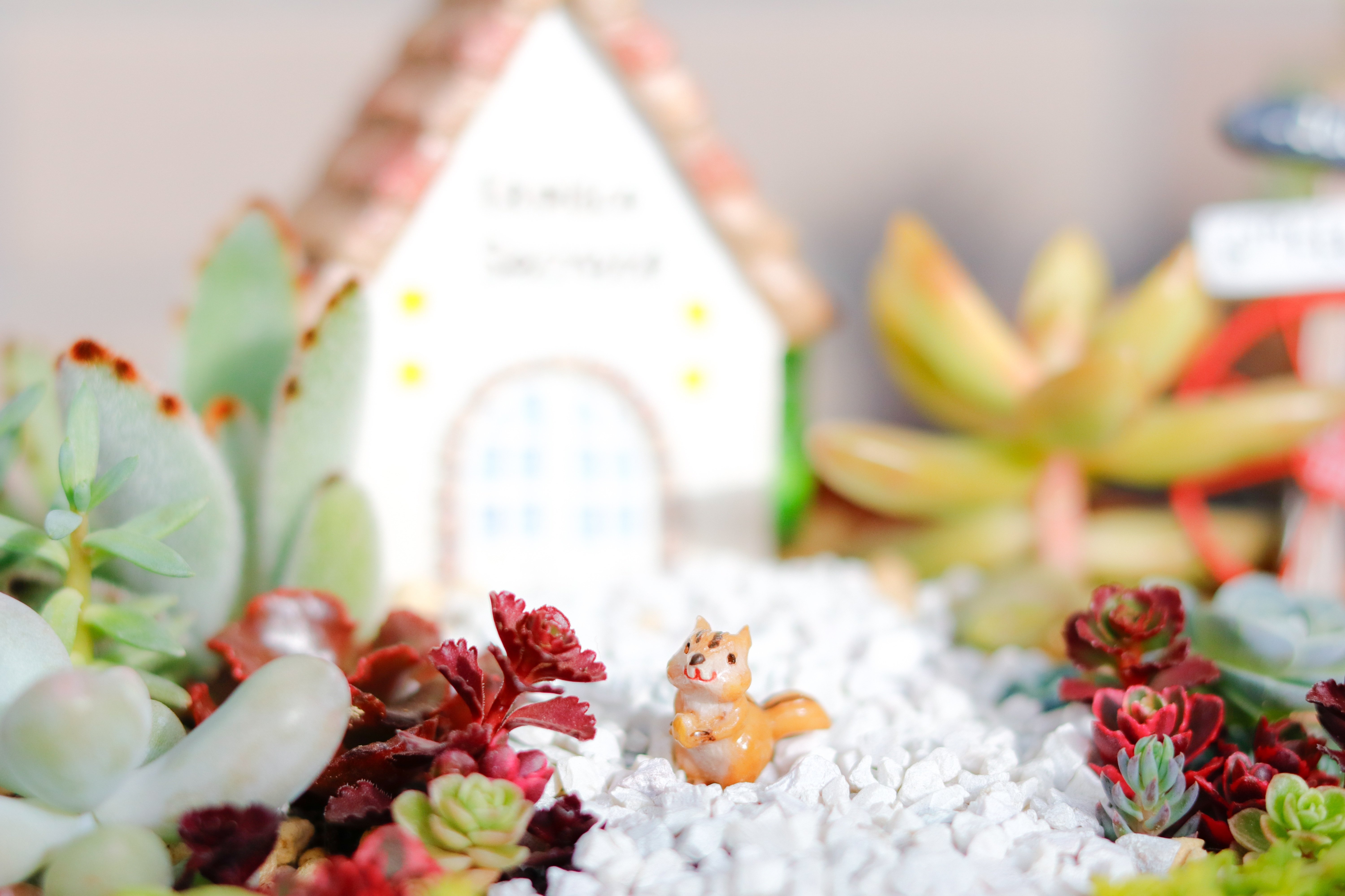 箱庭ミニチュアガーデンがおもしろい｜Jasmin