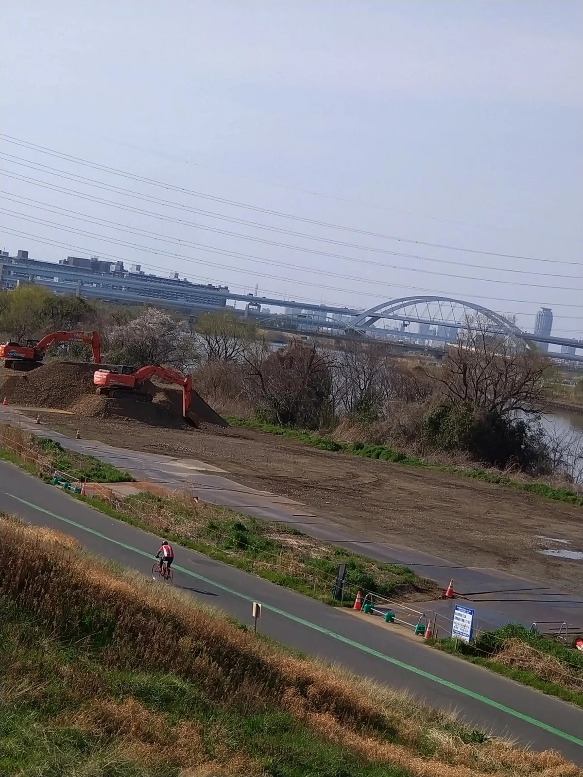 土手を歩こう②(荒川土手 扇大橋〜千住新橋)|梨