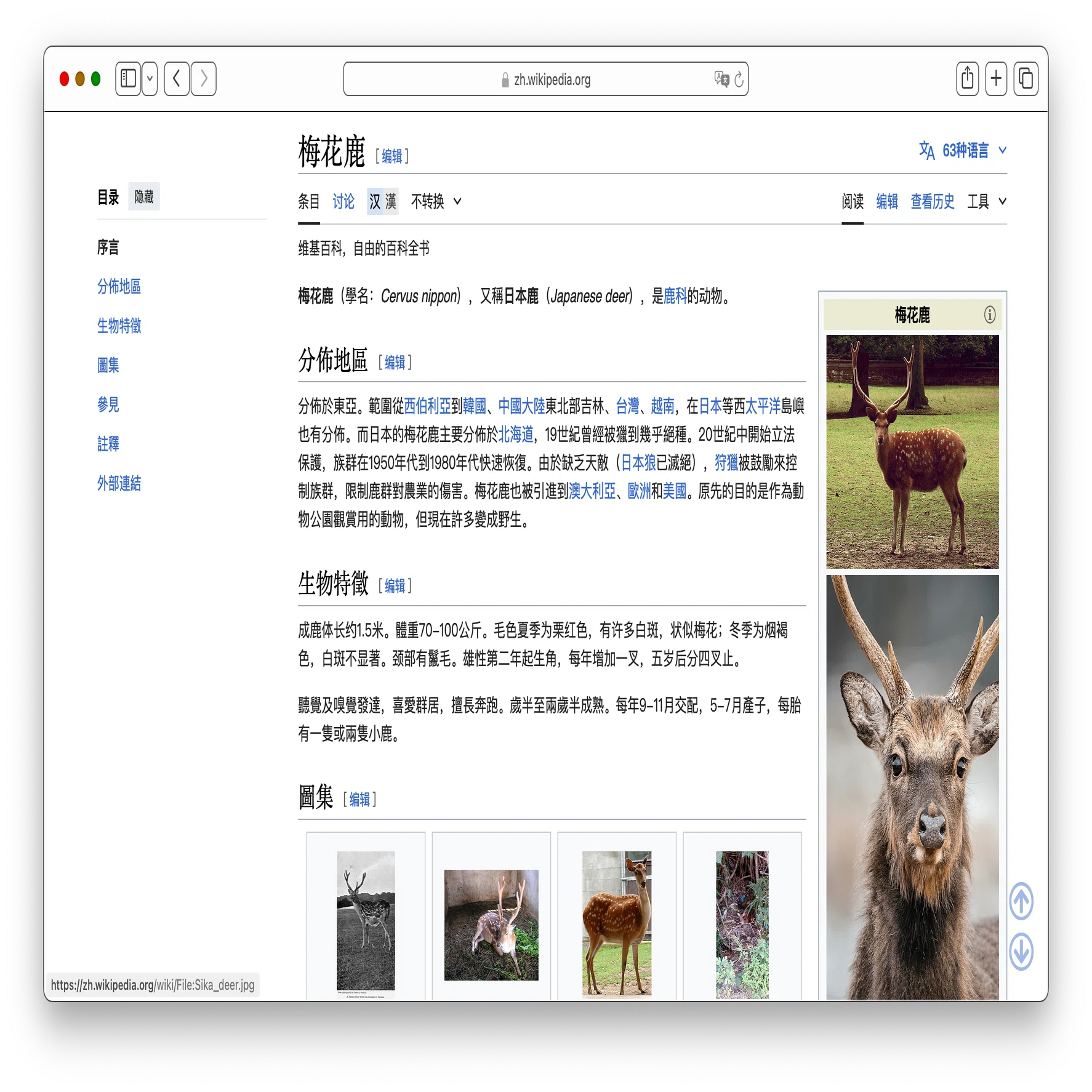 鹿※プロフ必読※ ページ 台湾旅プロローグ】鹿に会いたくて、38歳の原付教習｜あめげんば｜Ame