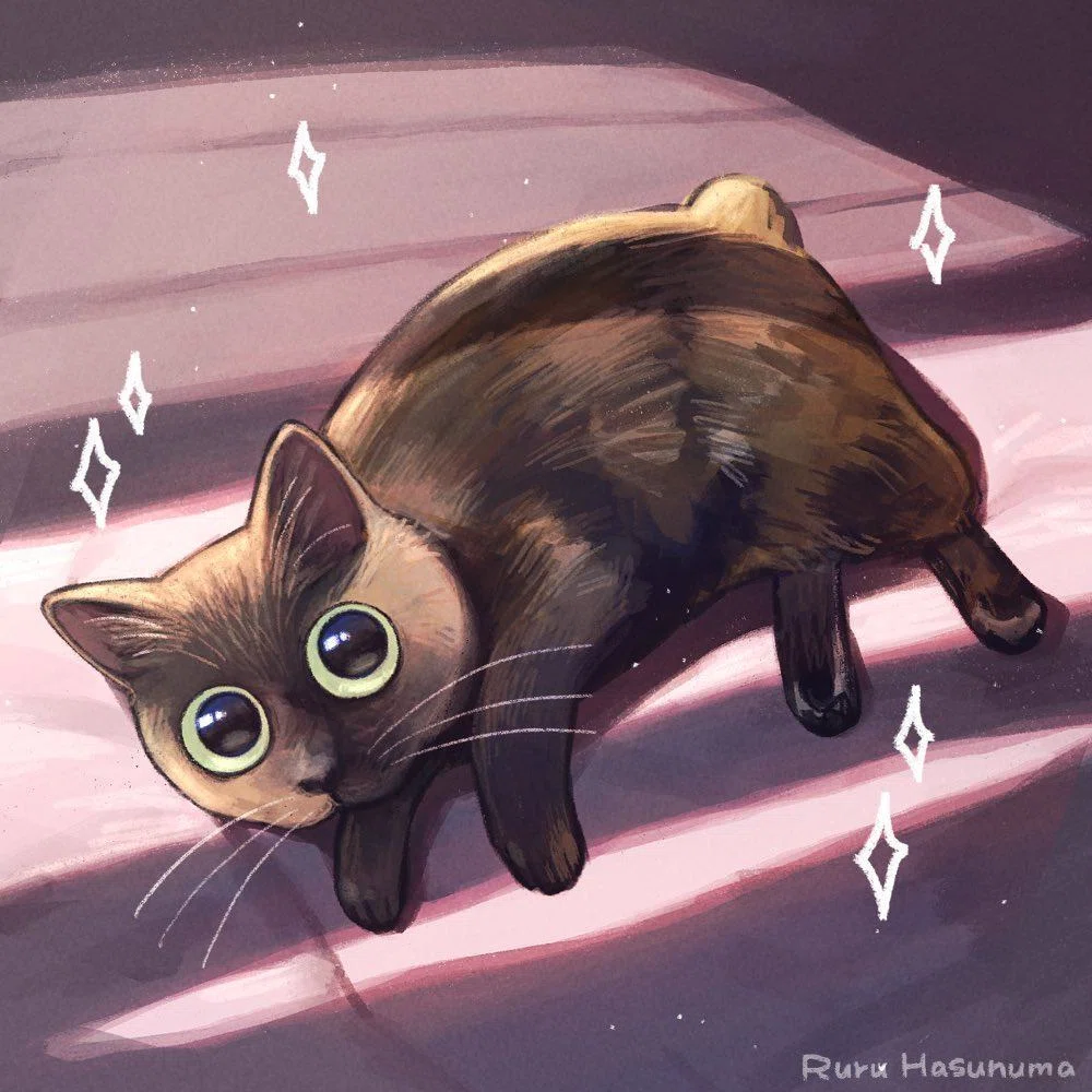 猫が「2階に来て！」と騒ぐので行ってみると…日当たりの良さを教えて