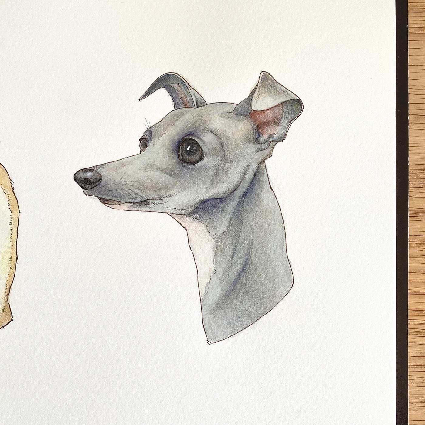 専用　油絵　イタリアングレーハウンドの美しいMickeyちゃんと小花咲く草原 専用 油絵 イタリアングレーハウンドの美しいMickeyちゃんと小花咲く