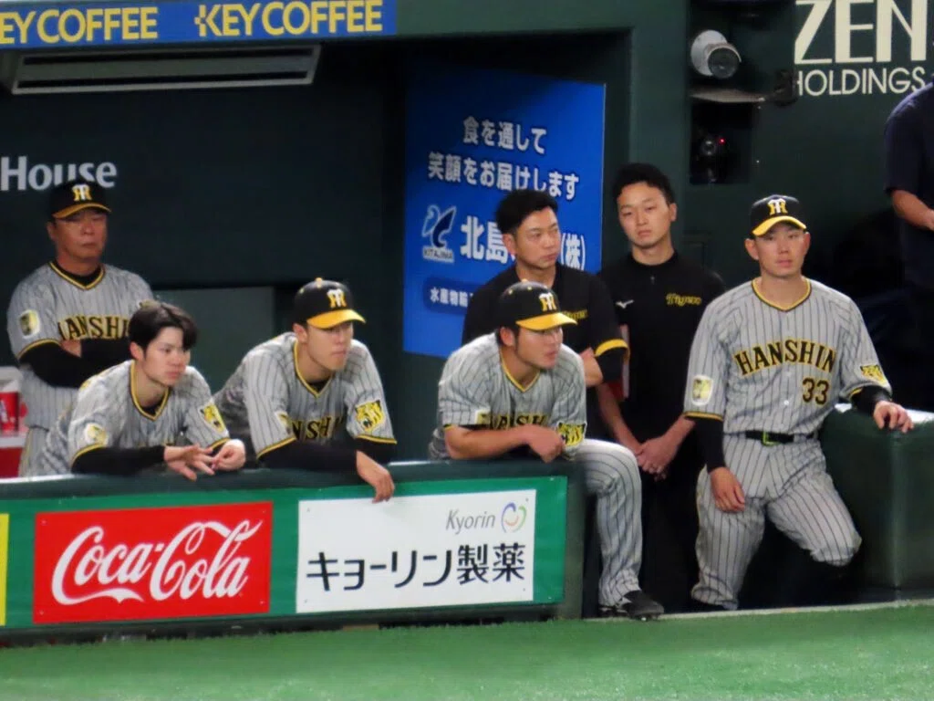 本日最終日 8月12日 東京ドームチケット 巨人vs阪神 ビジター内野応援席