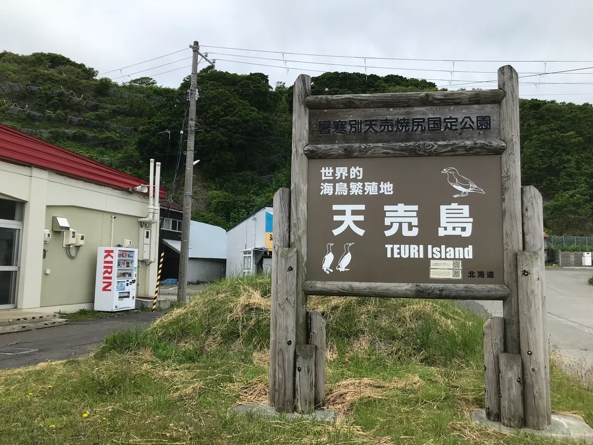 海鳥の楽園天売島に行ってきた！｜のぞむ