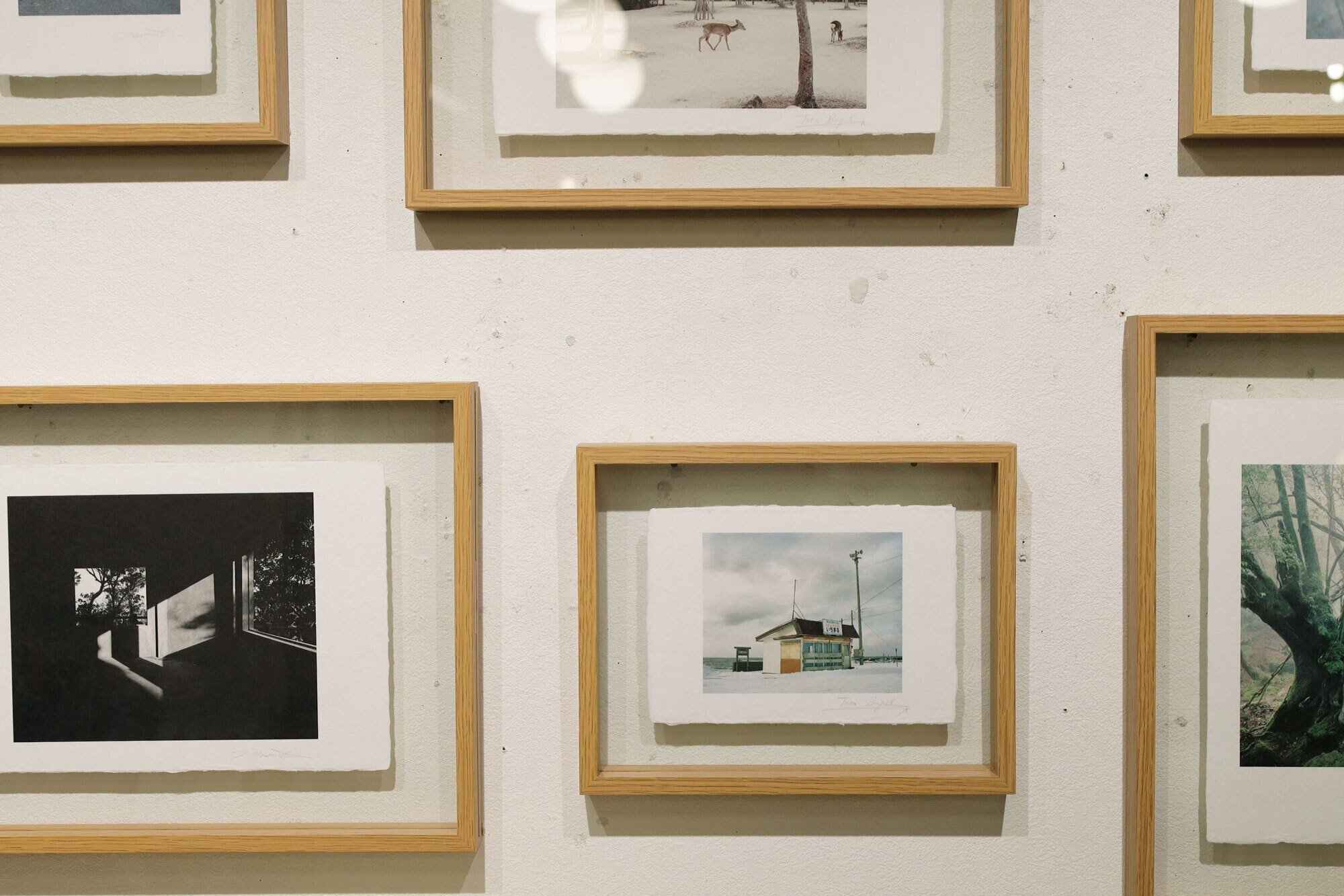 4月1日-4月30日｜森本徹×ティナ・バゲ『IMPERFECT UTOPIA』写真