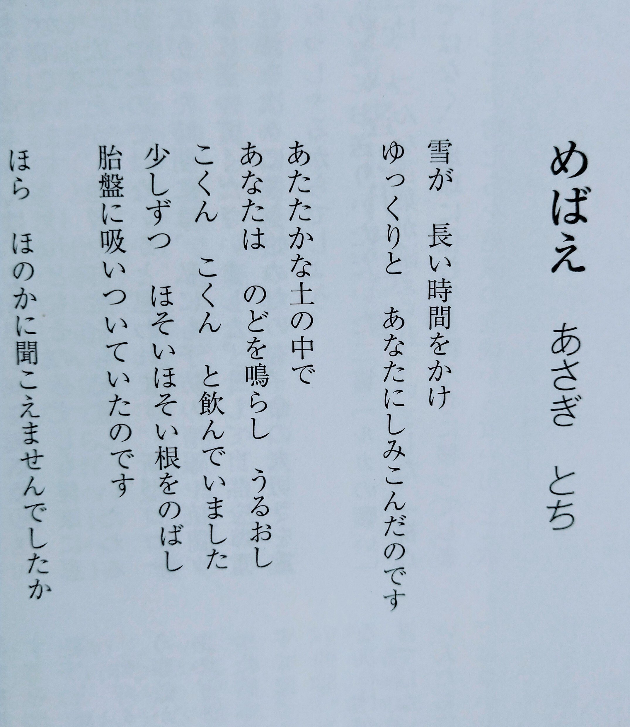エッセイ｜『詩と思想』現代詩の新鋭に選ばれました。｜あさぎ とち
